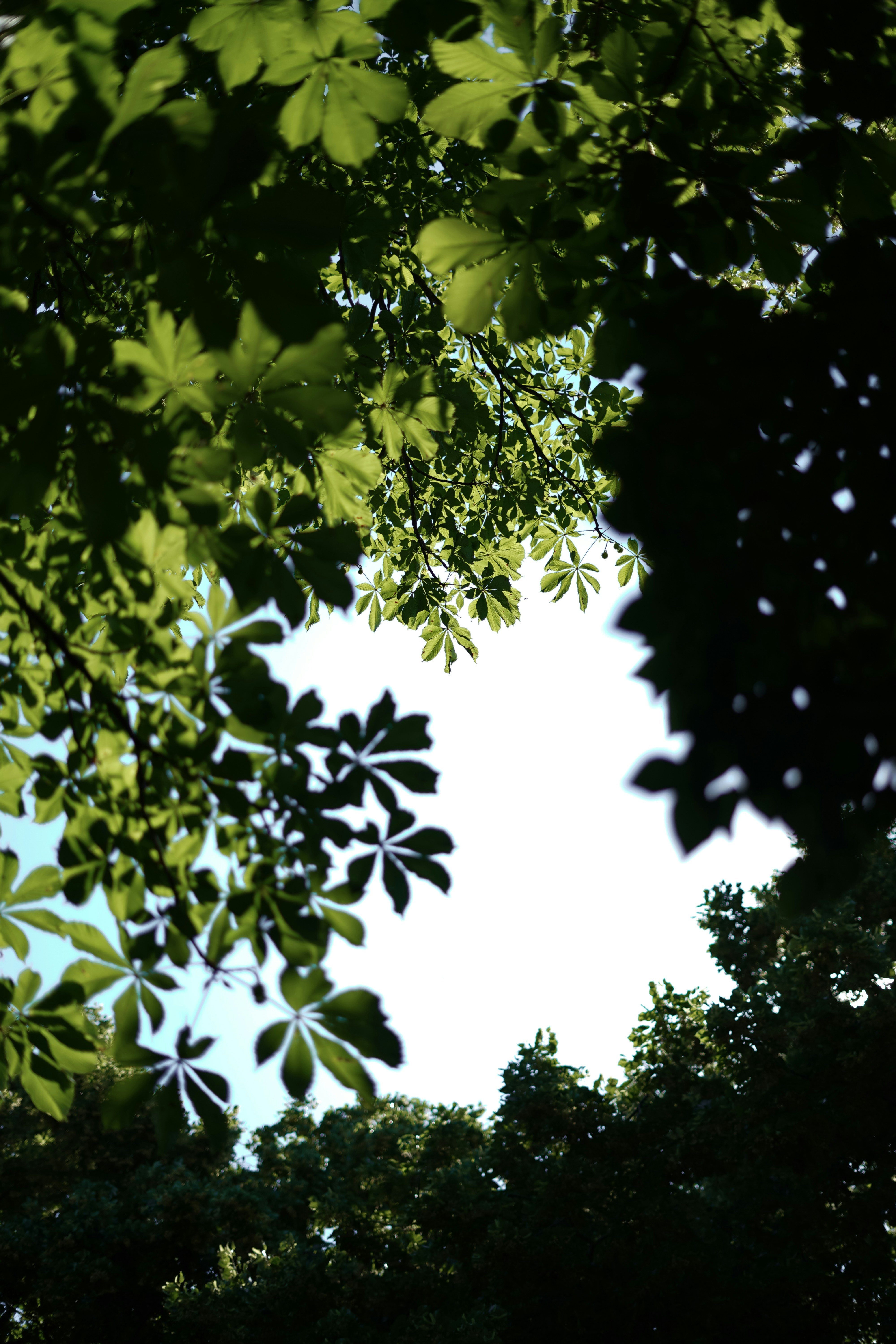 Photo by albina___white