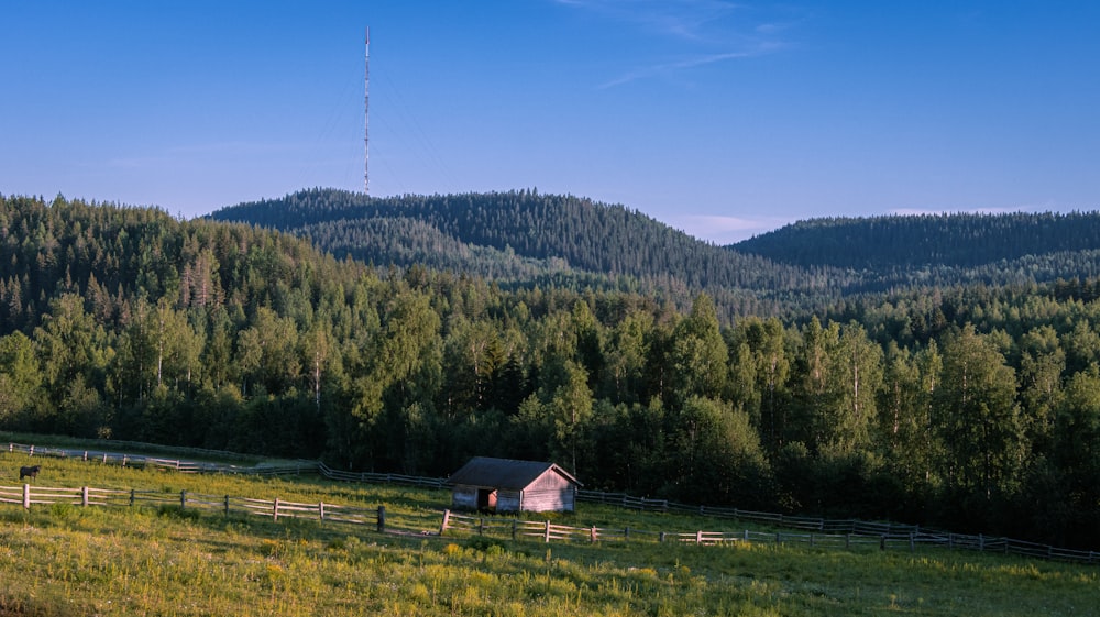 a house in a field of grass with trees in the back