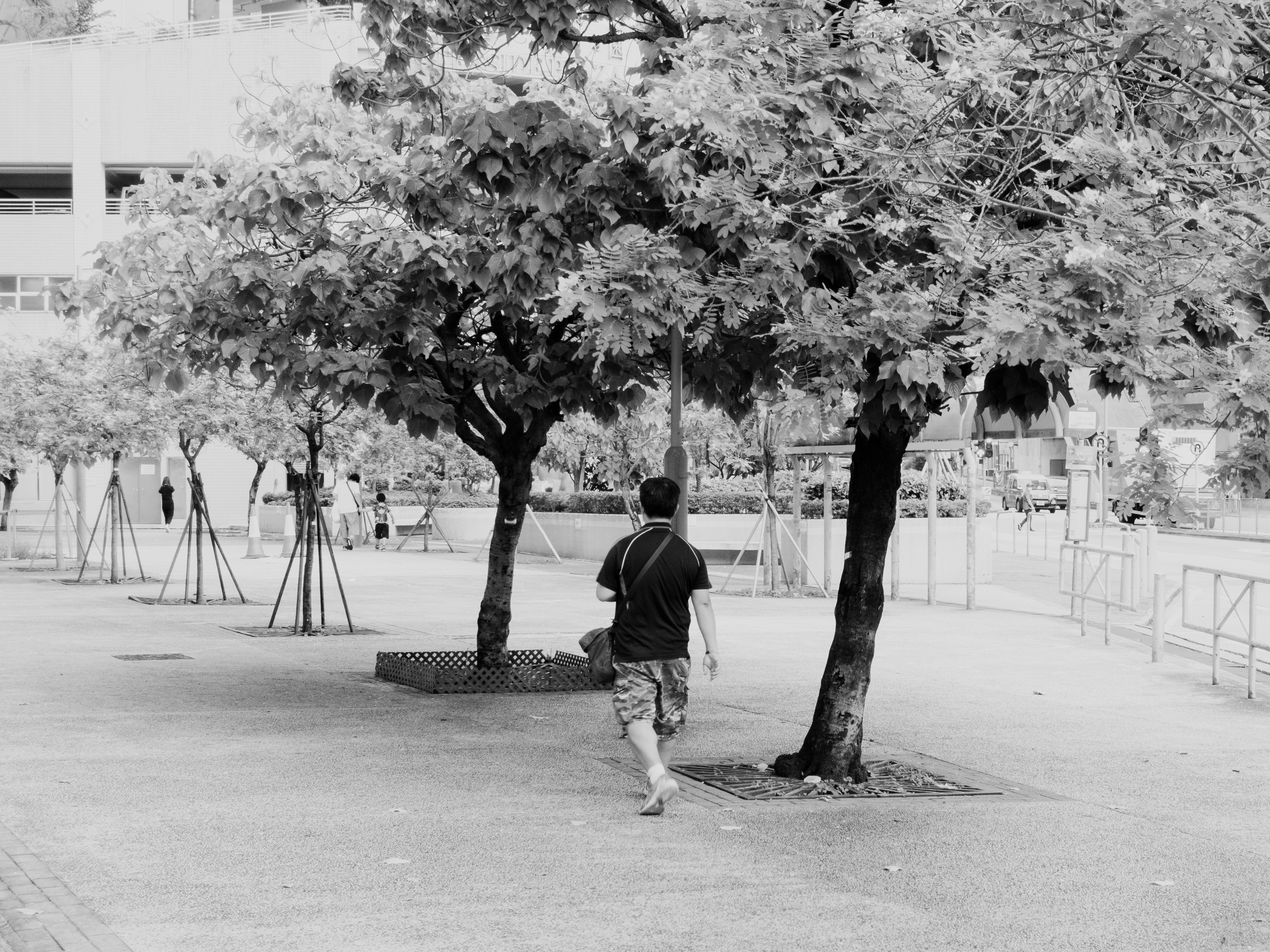 Photo by catgirlmutant