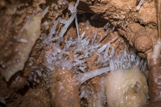 Jagged, translucent crystals emerge from a textured, brown rocky surface in a cave-like environment. The crystals vary in size, appearing sharp and delicate, contrasting with the rough, earthy surroundings.