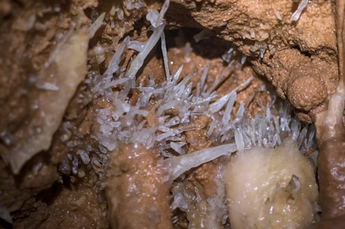 Jagged, translucent crystals emerge from a textured, brown rocky surface in a cave-like environment. The crystals vary in size, appearing sharp and delicate, contrasting with the rough, earthy surroundings.