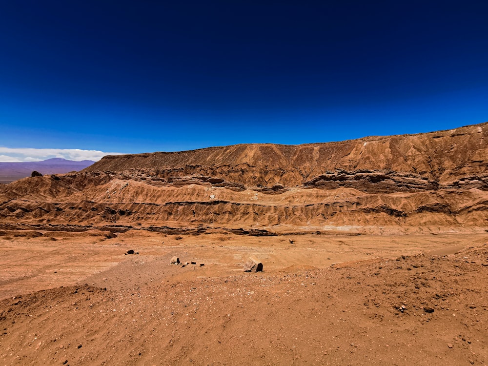 a desert landscape with a few animals