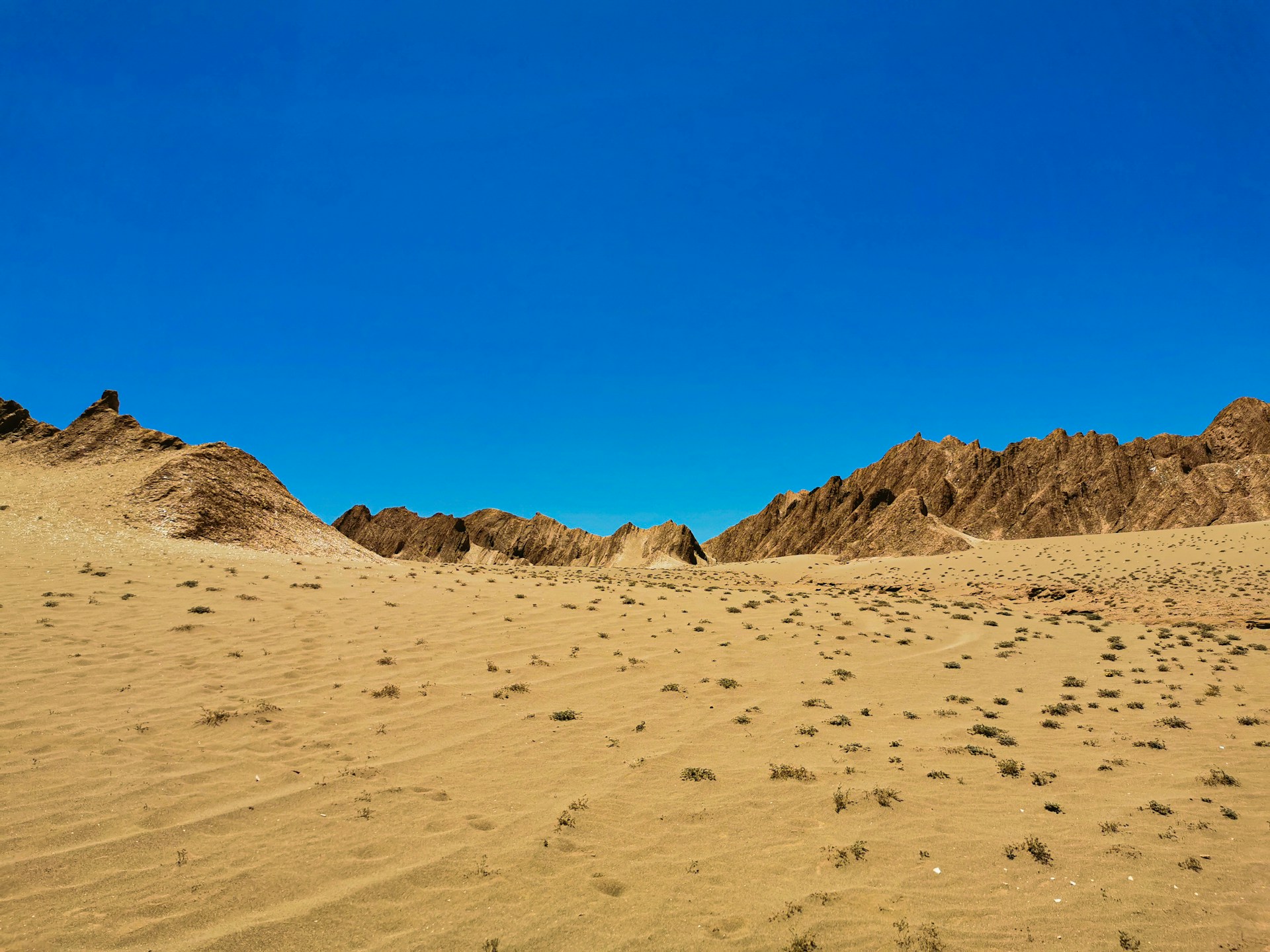 a desert landscape with sand