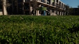 A freshly mowed commercial lawn in front of a modern office building under bright afternoon sun.