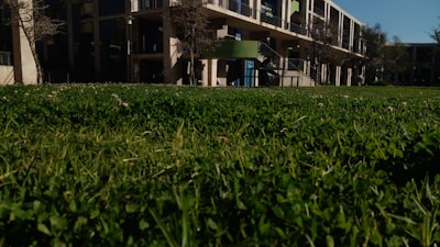 A commercial property featuring lush green lawns and neatly trimmed shrubs under bright Arizona sunlight.