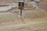 A CNC machine is actively carving out shapes from a sheet of plywood. The machining process involves a rotating cutting tool, creating precise geometric designs. Wood shavings are scattered around the area, indicating an ongoing task.