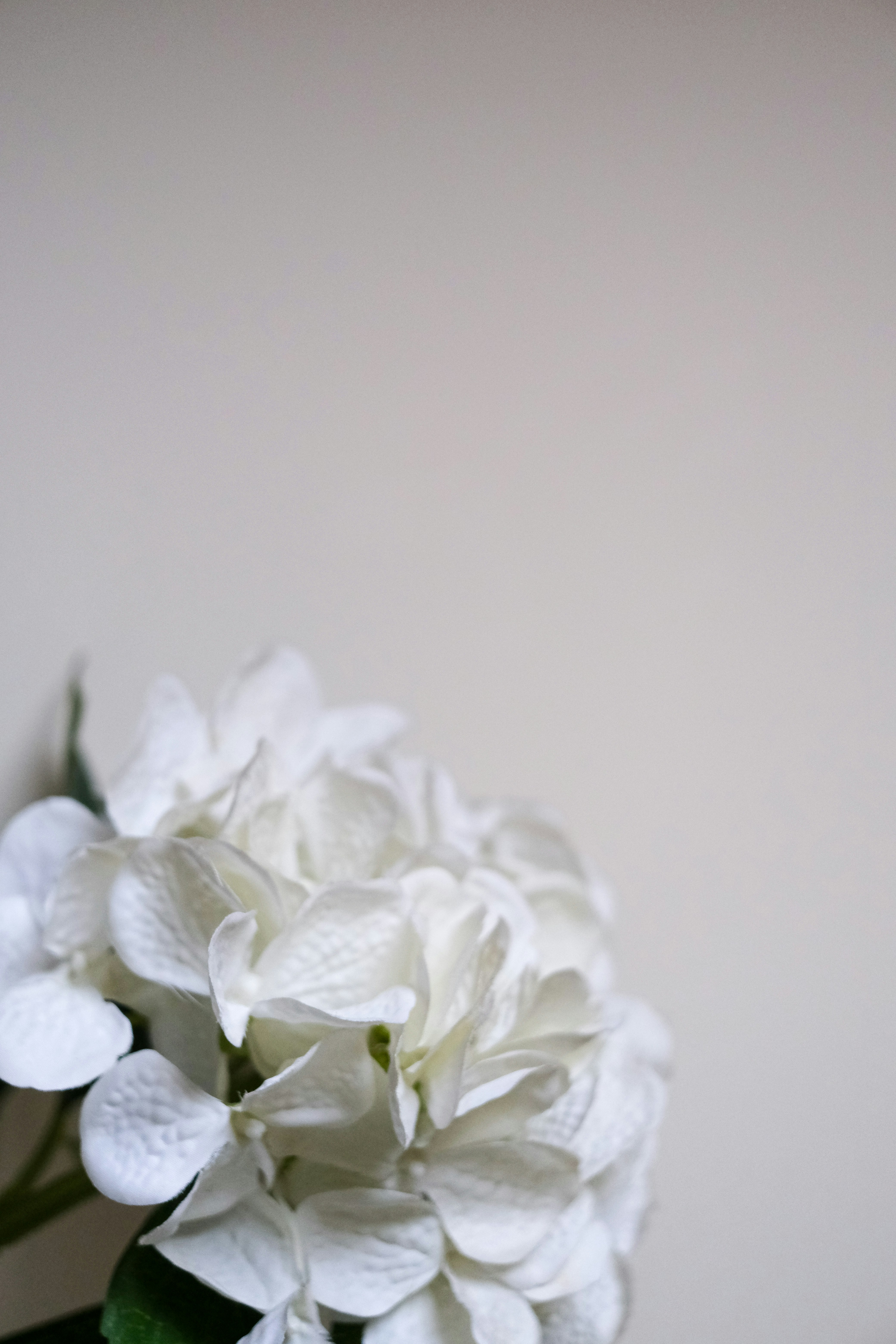 Photo by heidiiiiiiiii