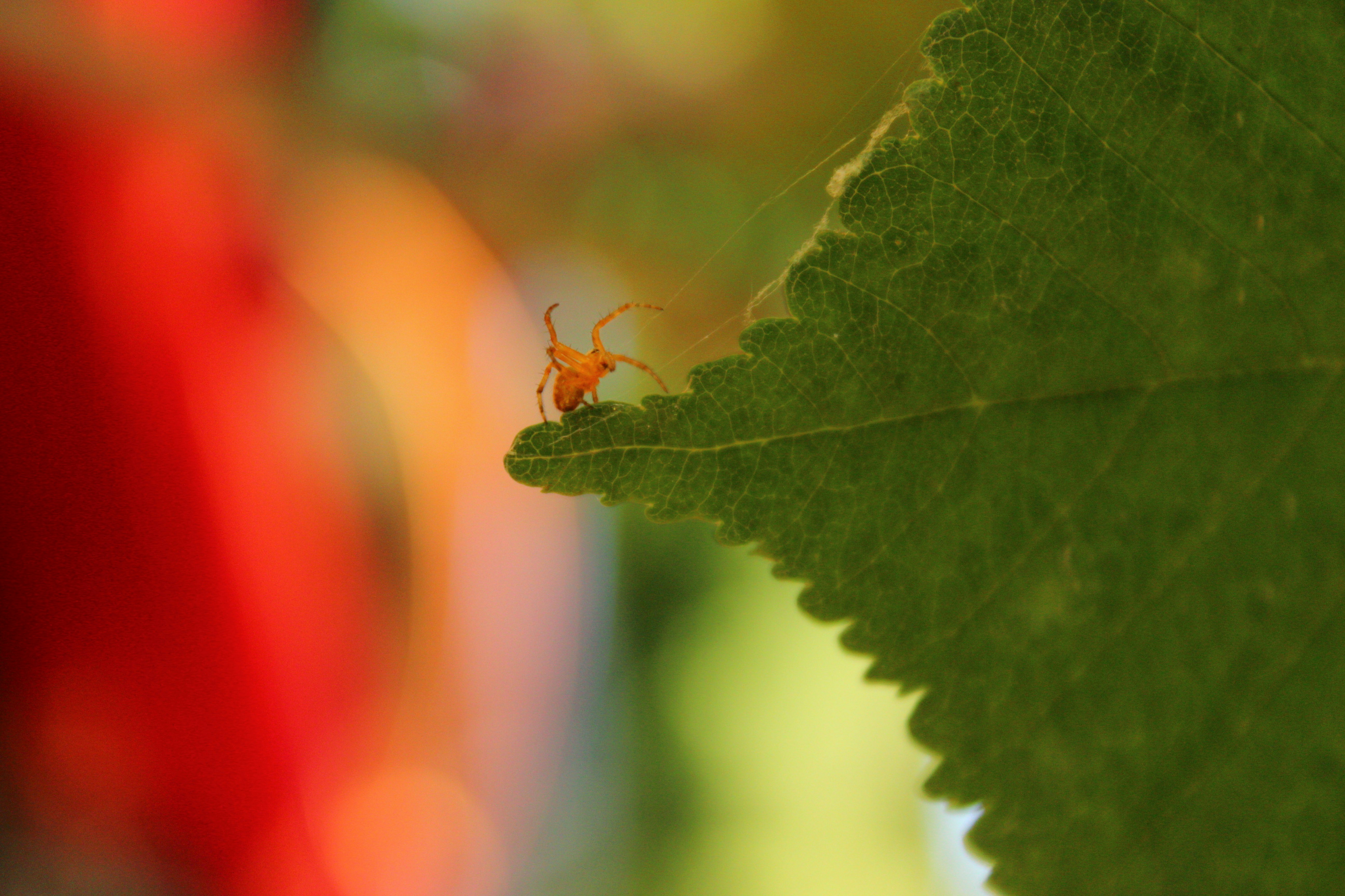 Photo by mattia_poli_04