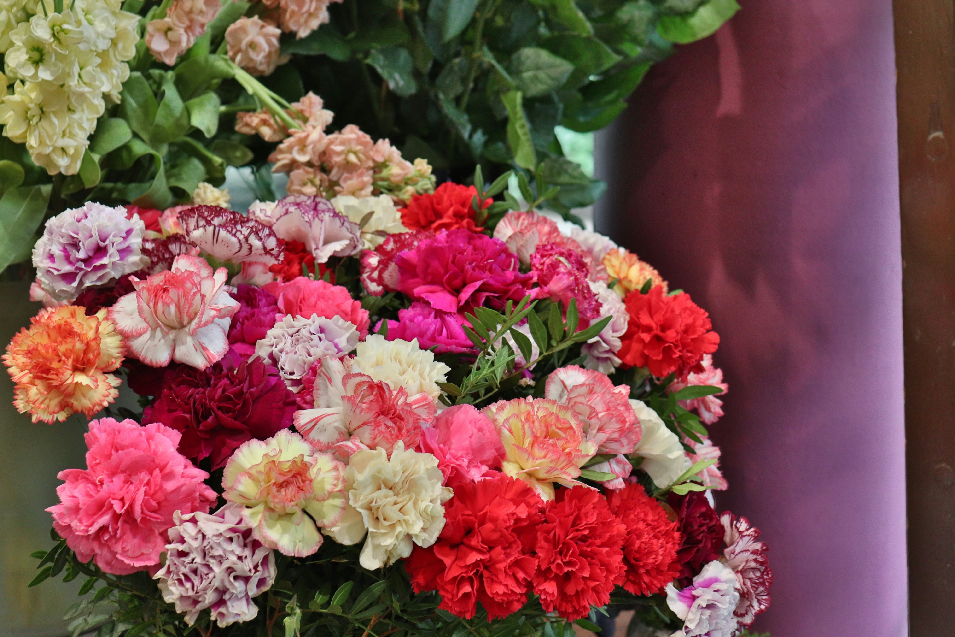 Photo by judithgirardmarczak