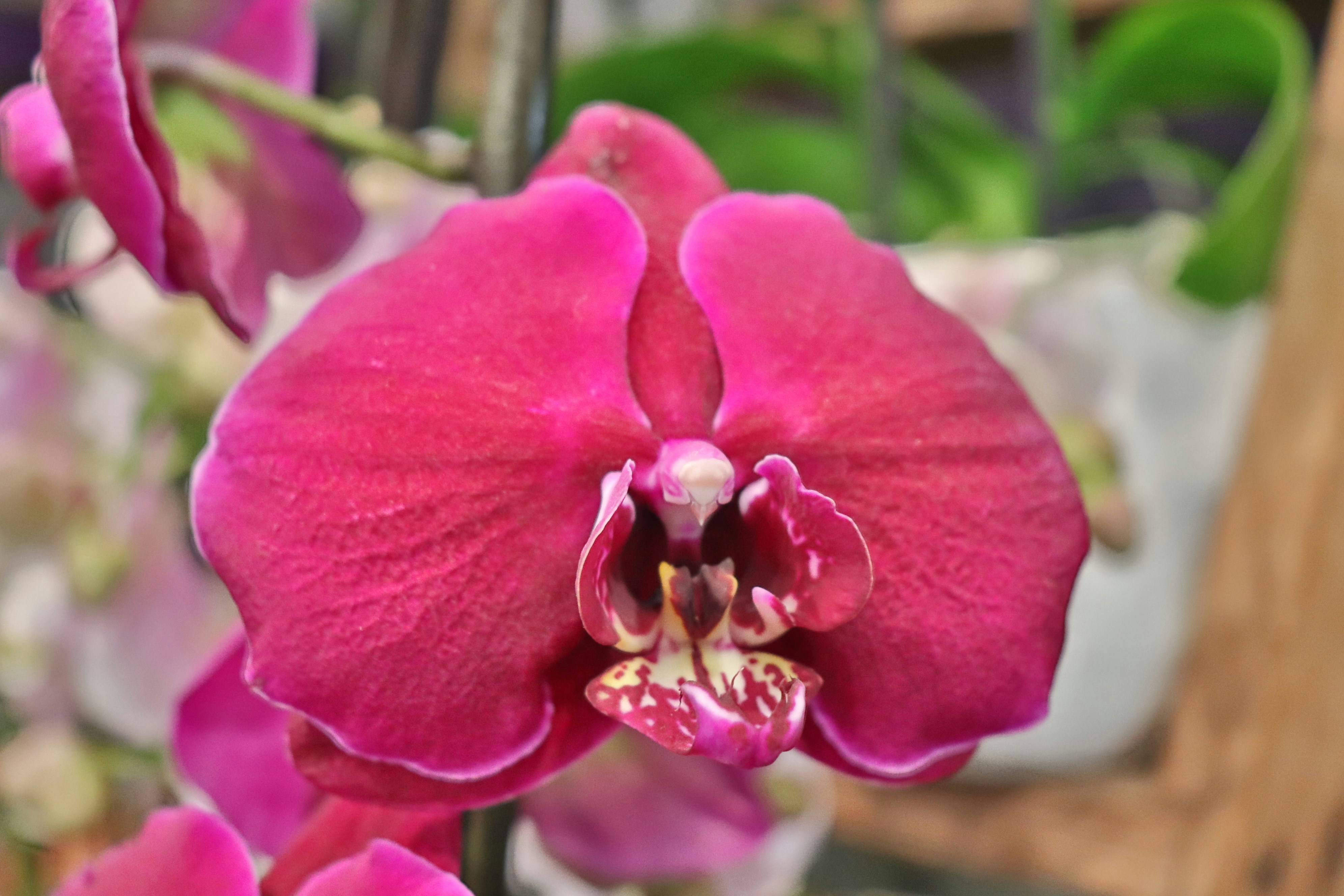 Photo by judithgirardmarczak