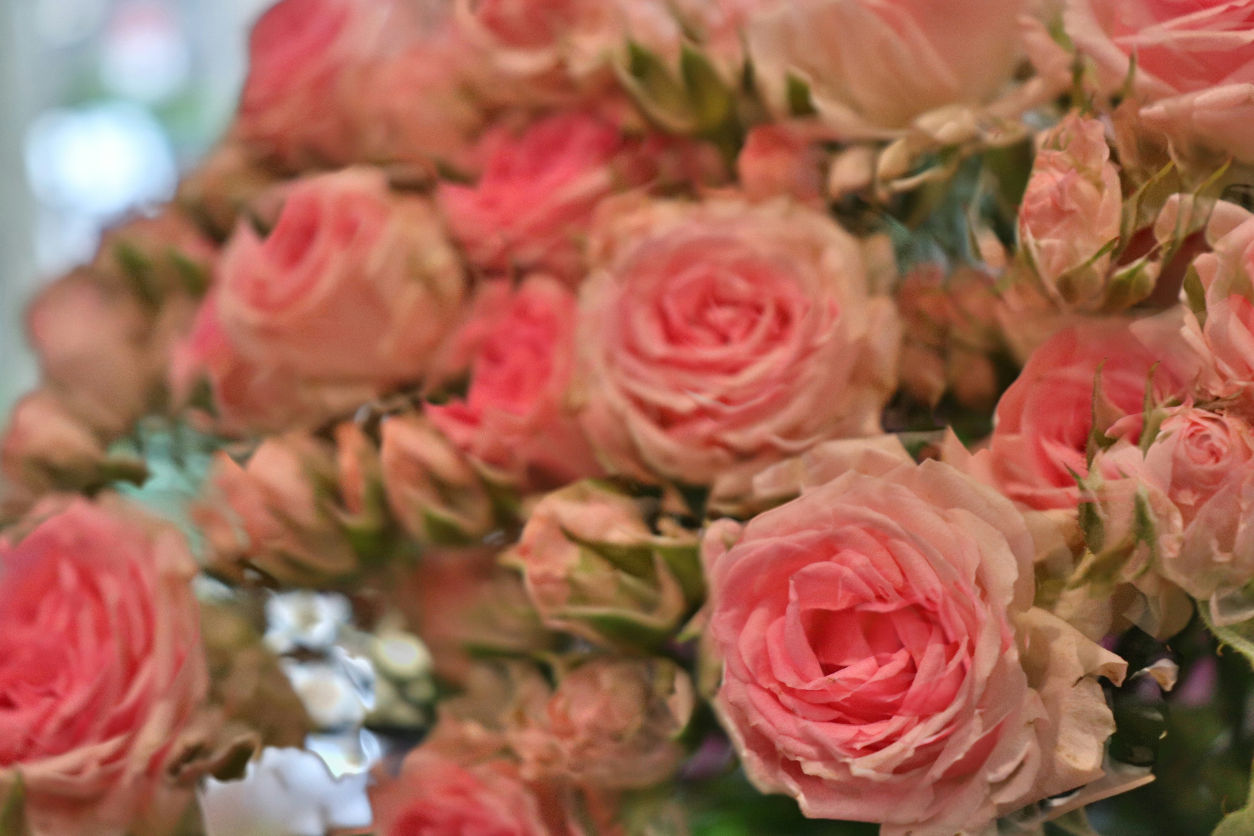 Illustration for Preserved Beauty: Long-Lasting Arrangements Without the Fuss related to family owned florist offering heartfelt gifts