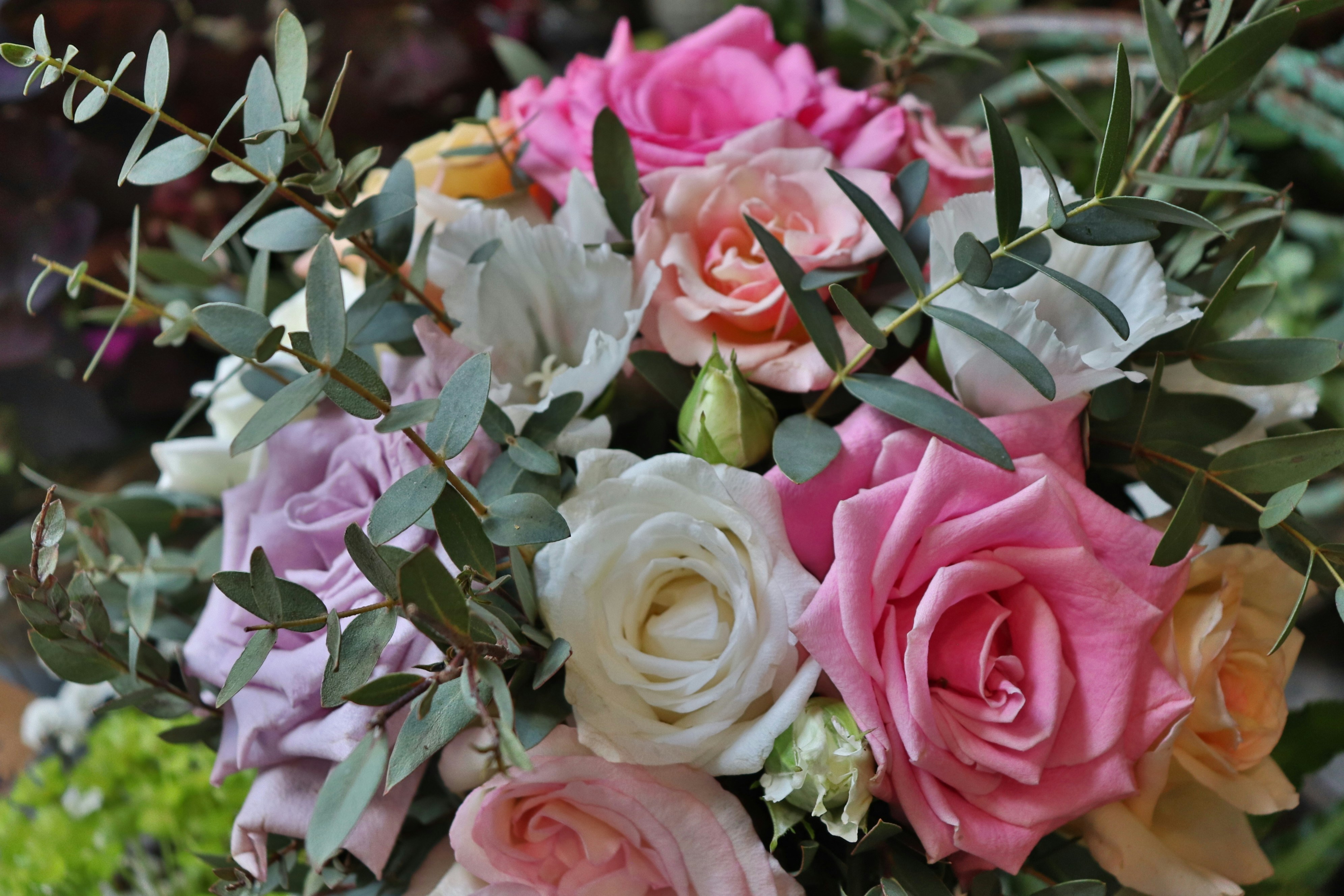 Photo by judithgirardmarczak