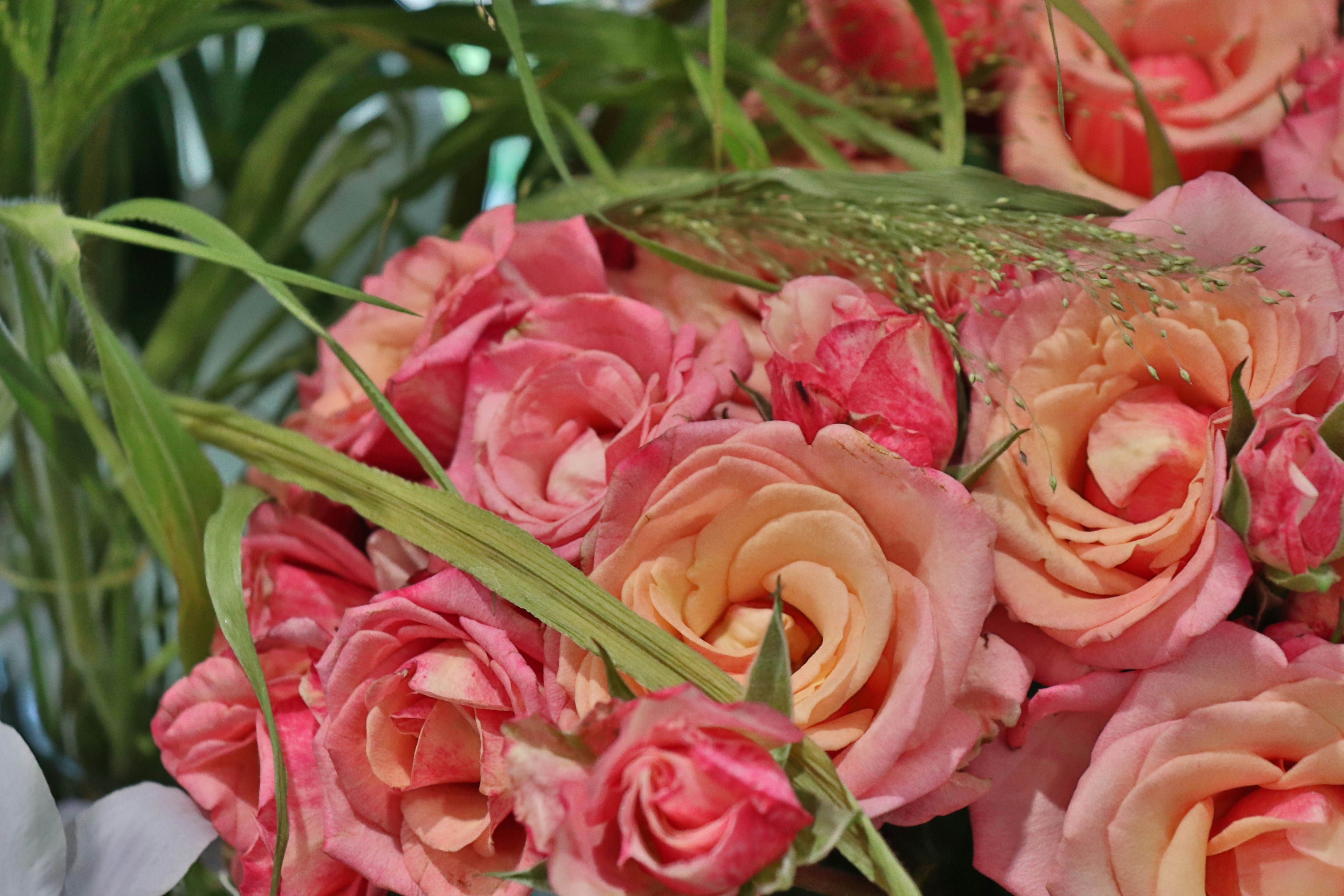 Photo by judithgirardmarczak