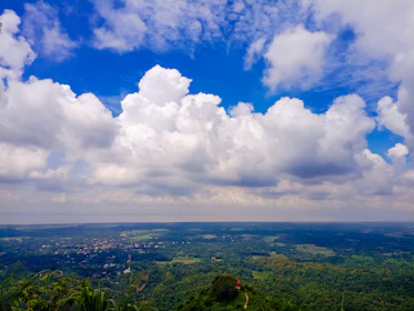 A panoramic view of a lush green land parcel ready for sale under a clear blue sky.