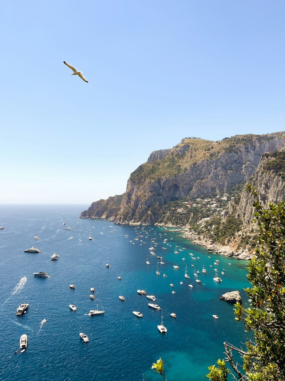 a body of water with boats in it and a hill in the background