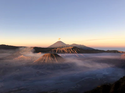 Volcanic rock textures blending with high mountain vegetation under soft dawn light.