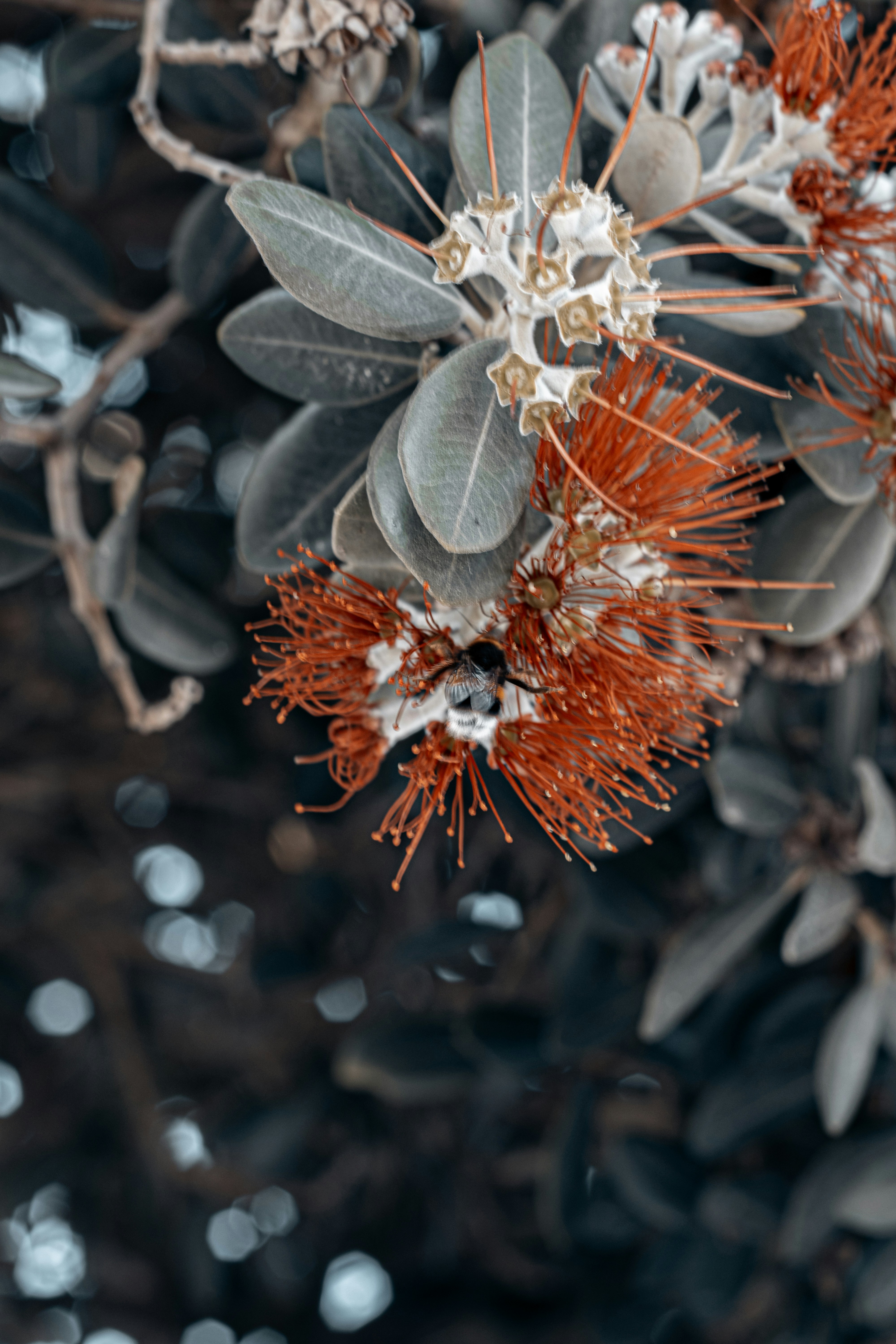 Photo by vadym_alyekseyenko