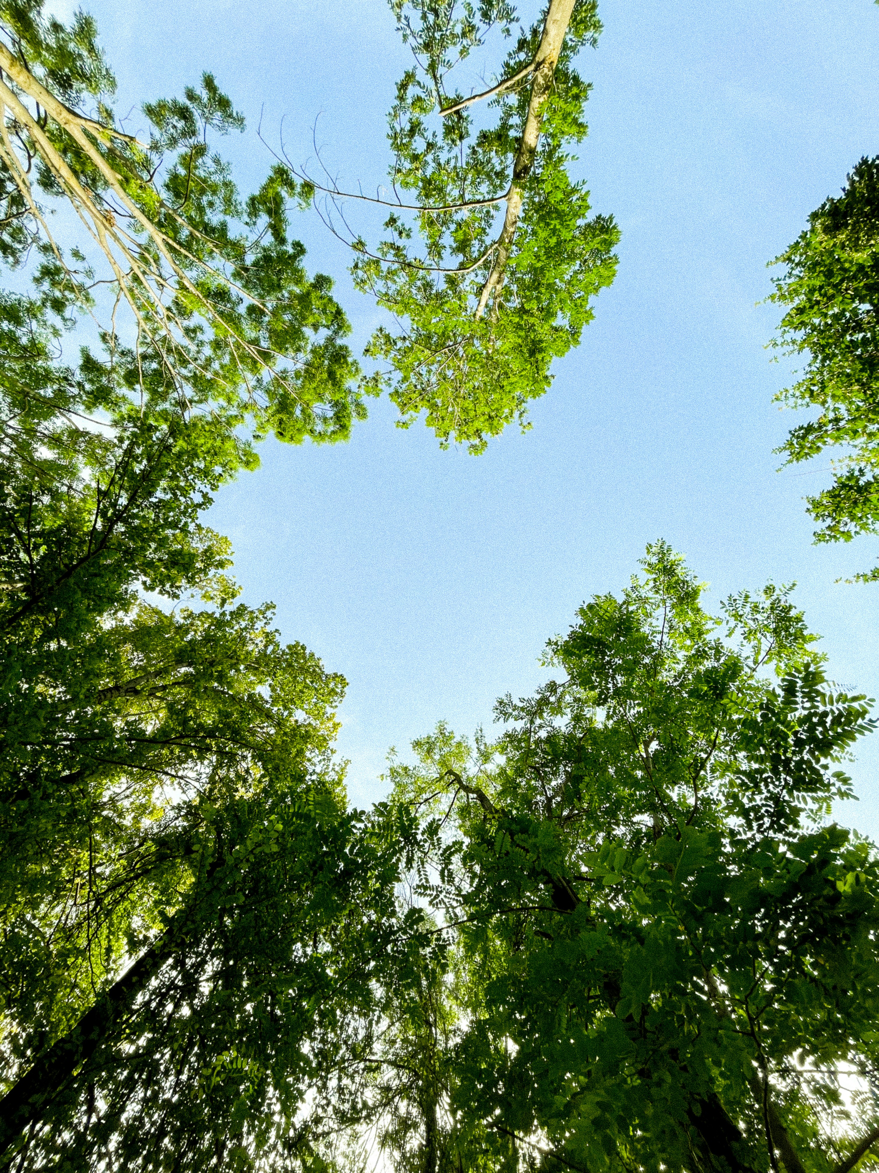 Photo by filippo_agazzi