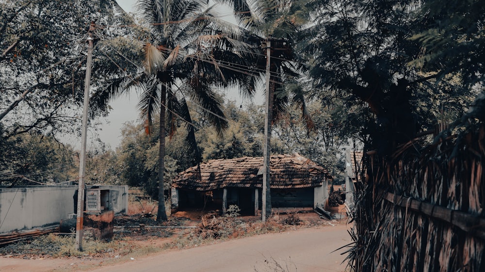 a house with trees around it