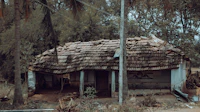 Best Local Markets in Dindigul for Food, Crafts, and Real Community Life