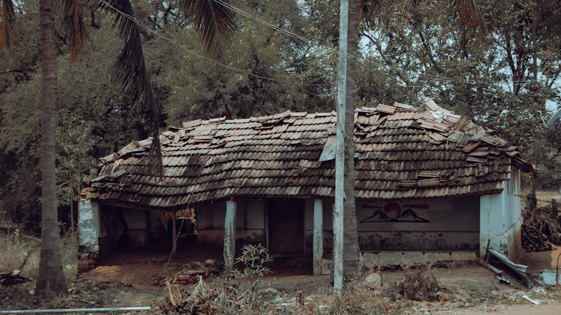 Best Local Markets in Dindigul for Food, Crafts, and Real Community Life