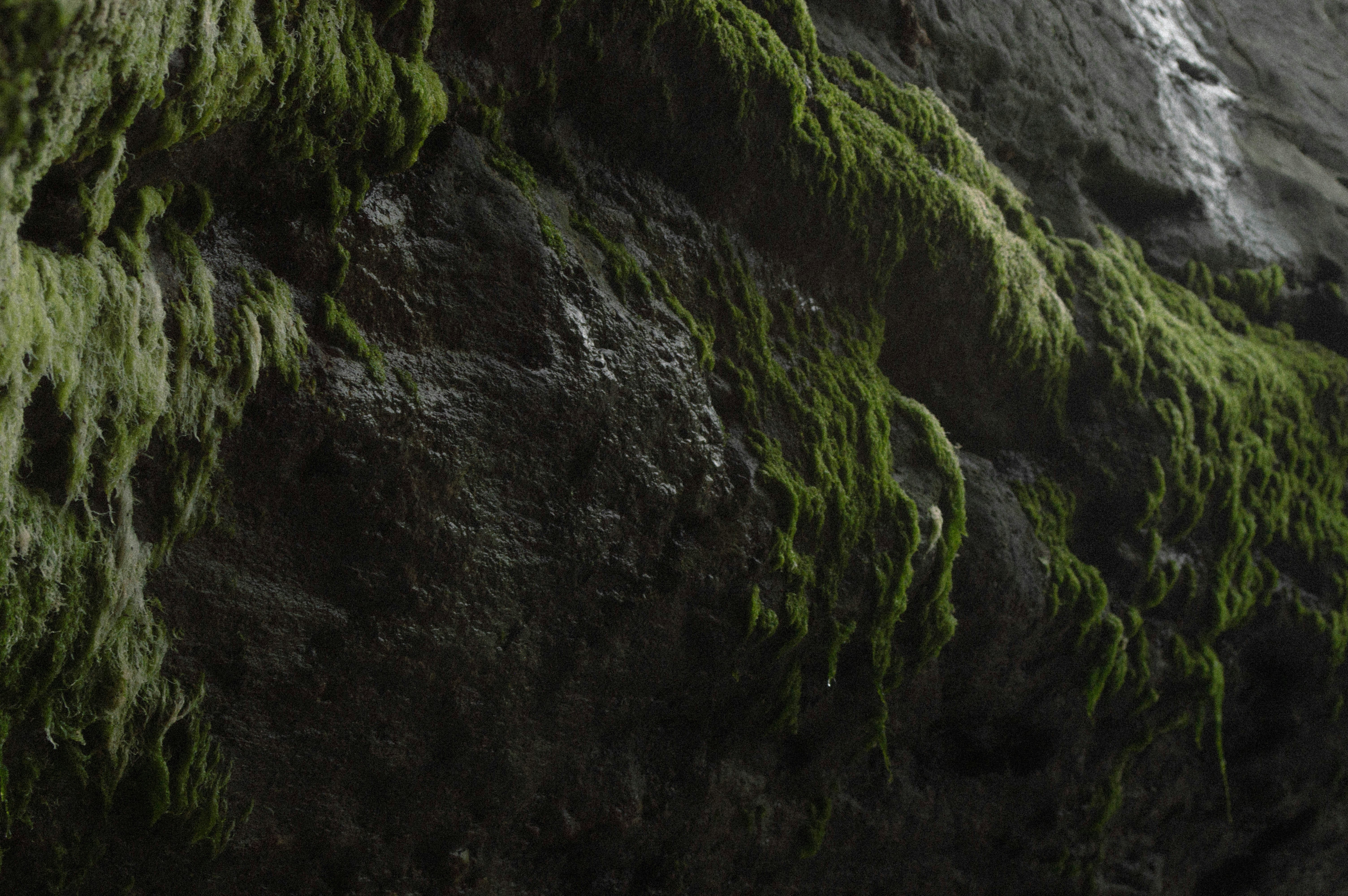 Photo by maximus_smith