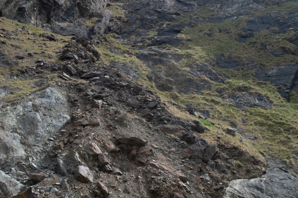 a rocky area with grass and rocks