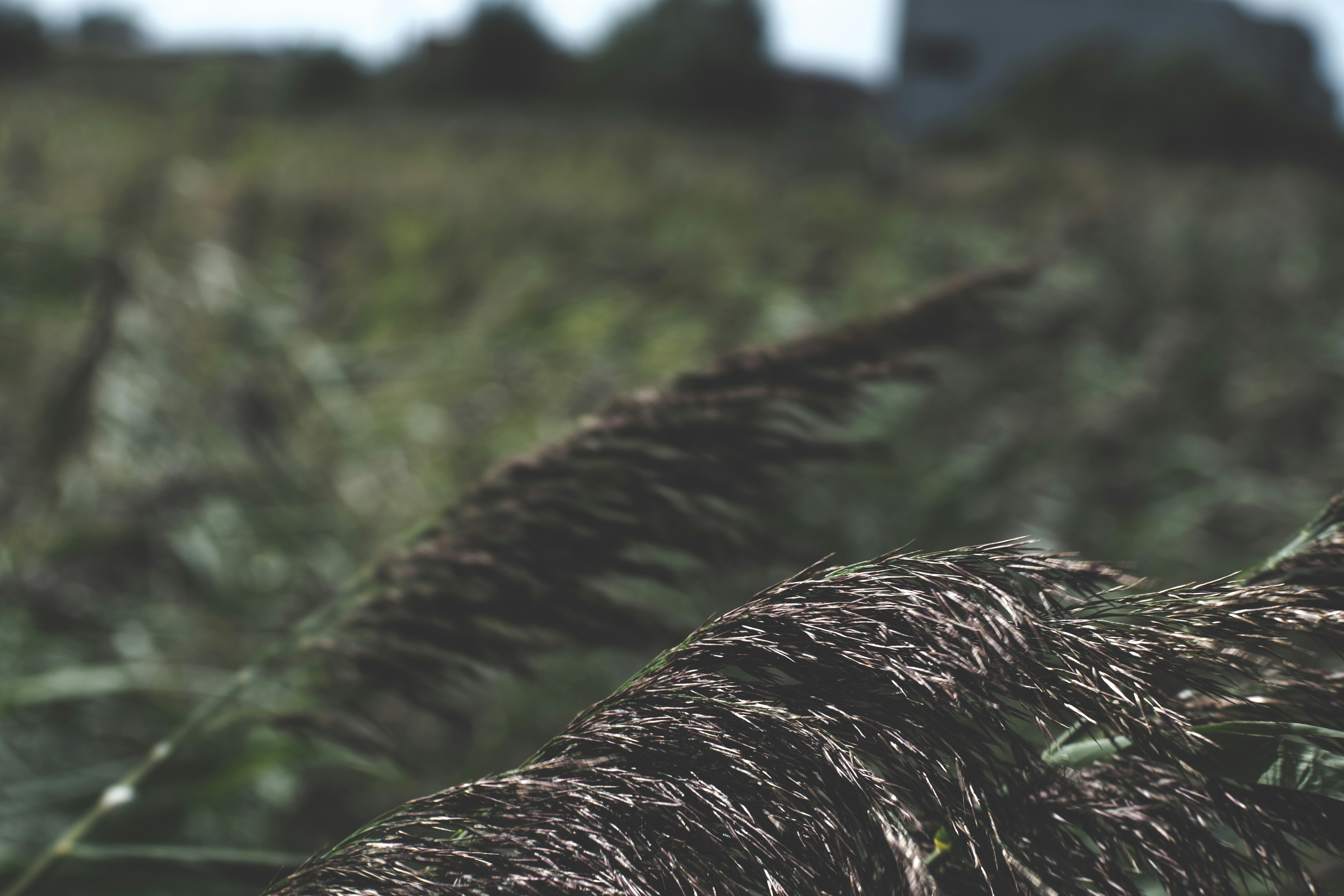 Photo by thezenoeffect