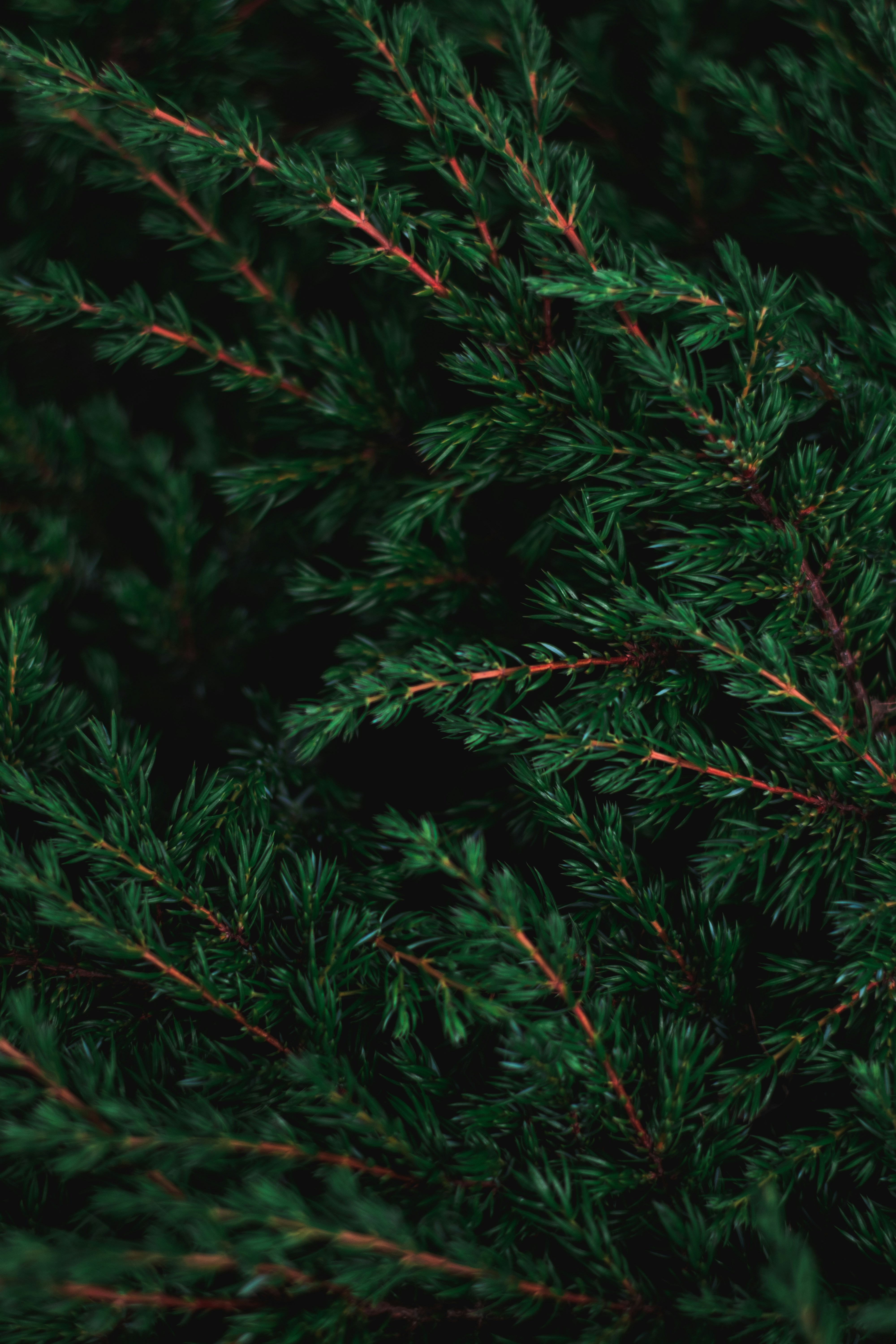 Photo by thezenoeffect