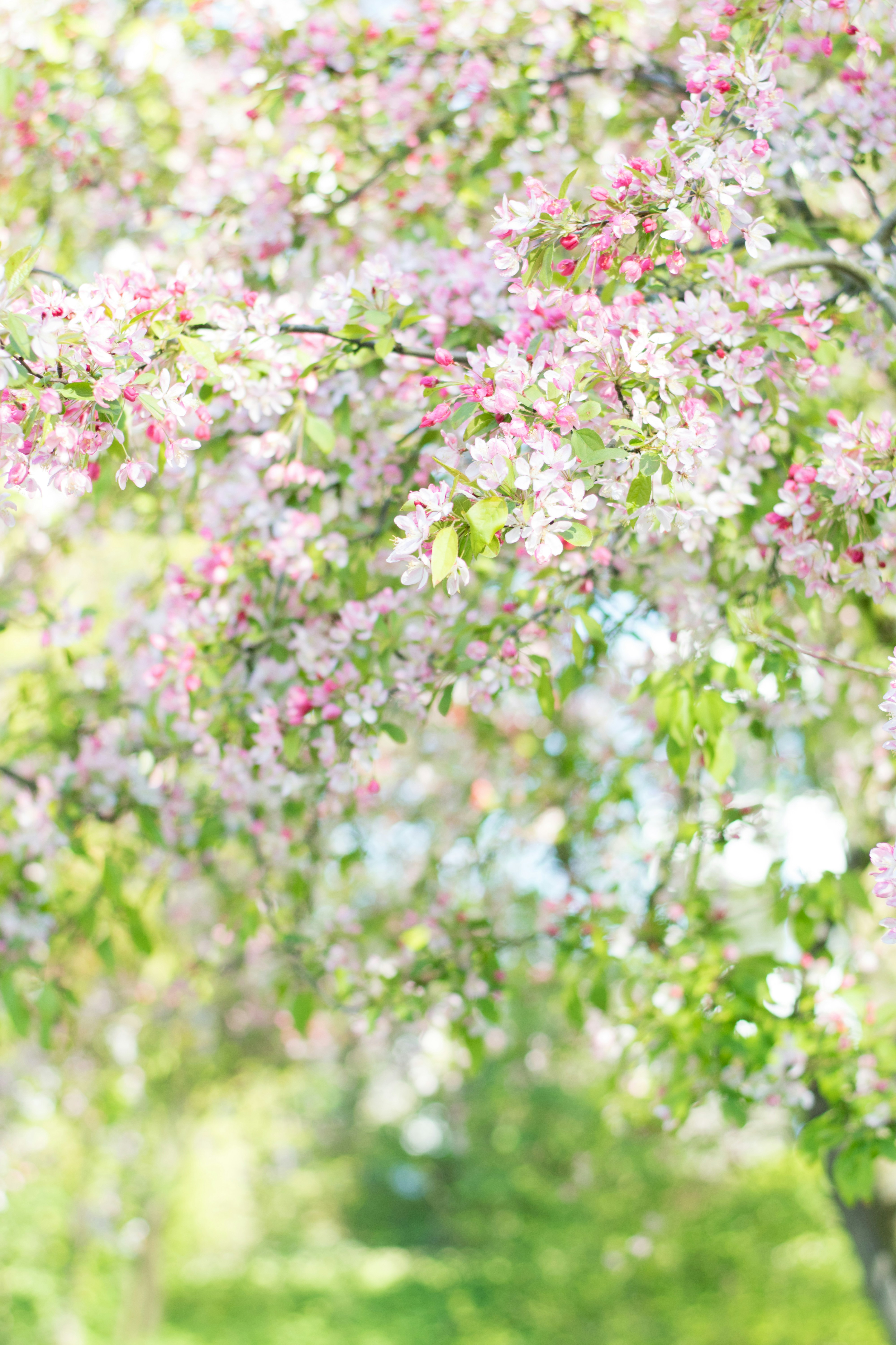 Photo by thezenoeffect