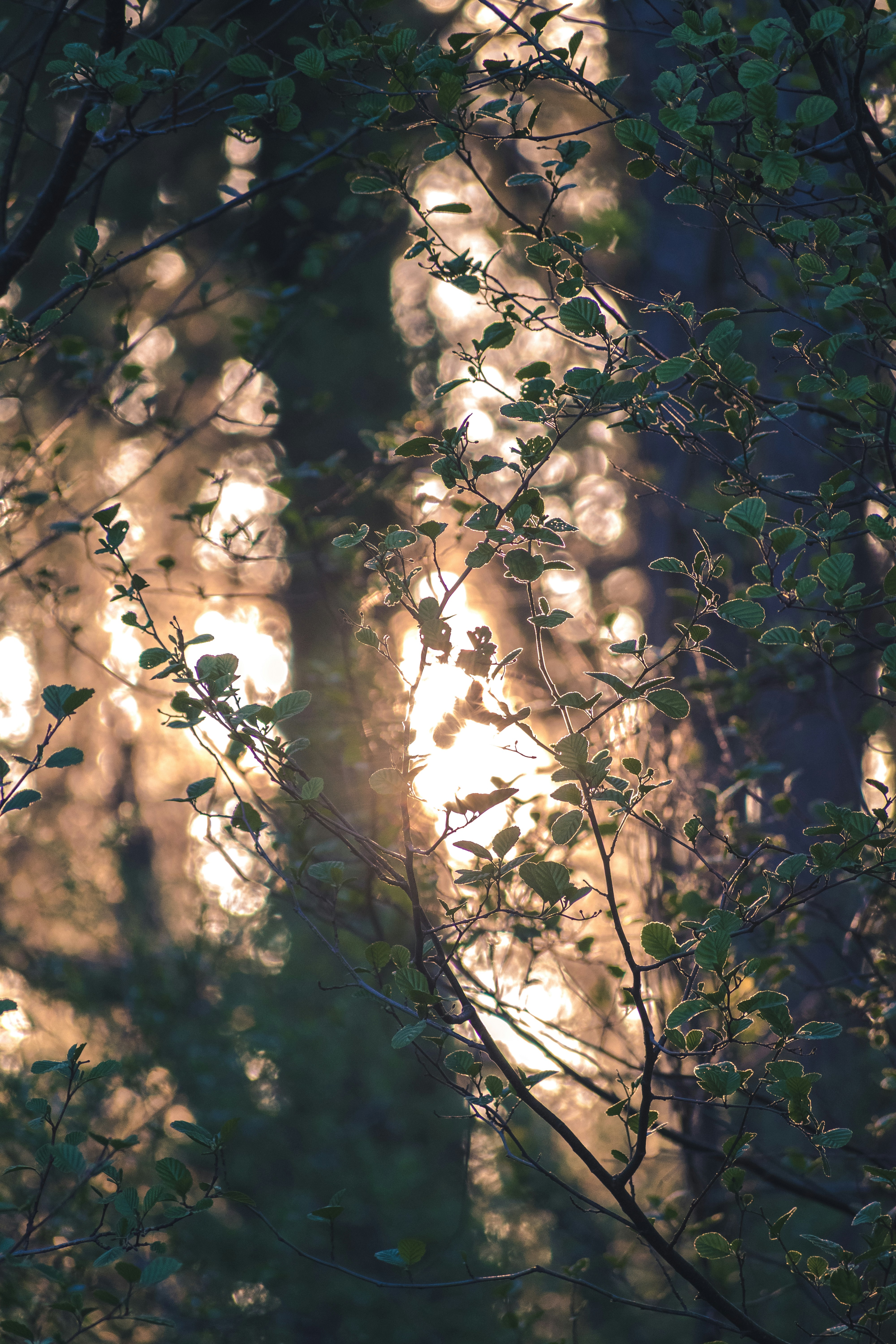 Photo by thezenoeffect