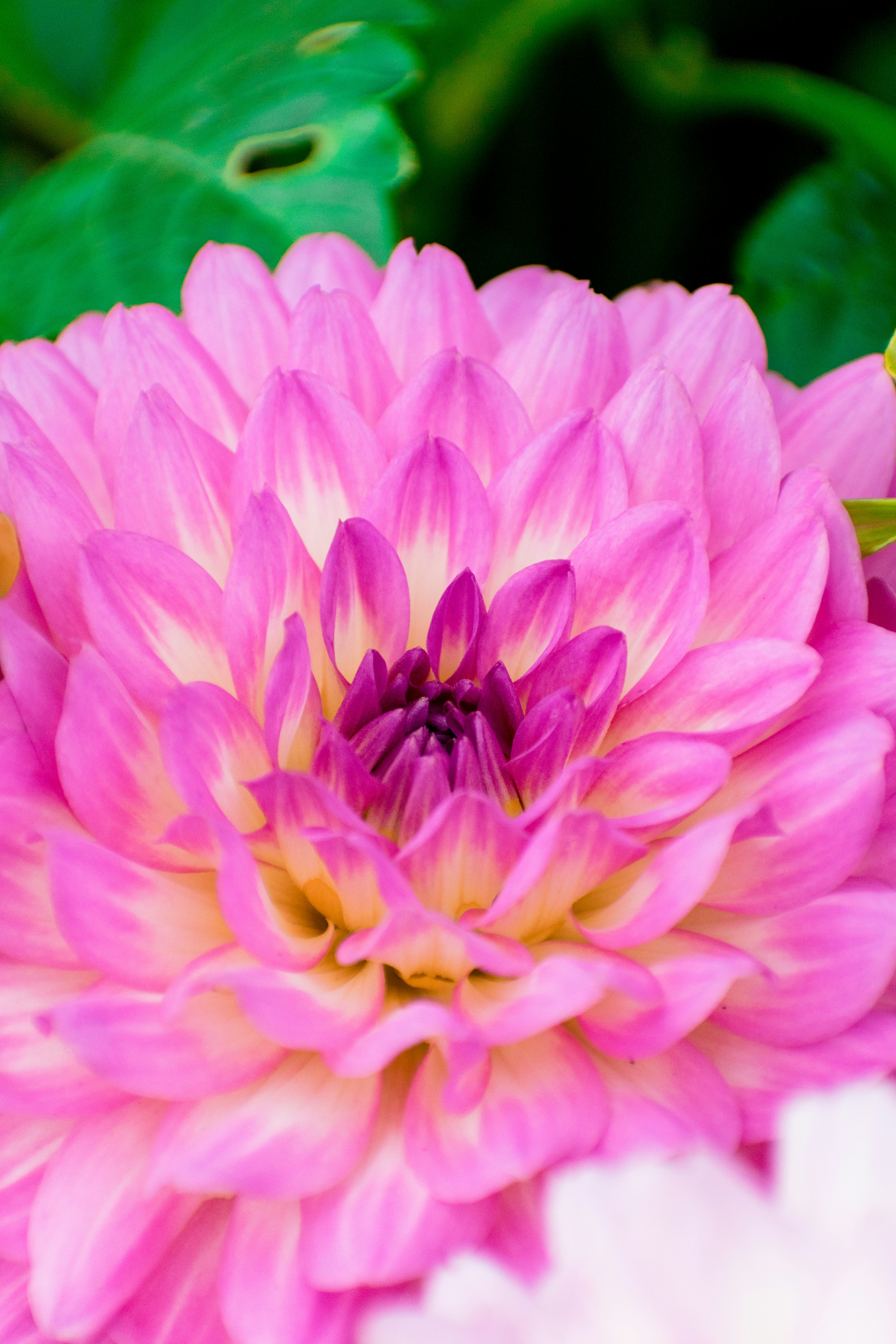 Photo by thezenoeffect