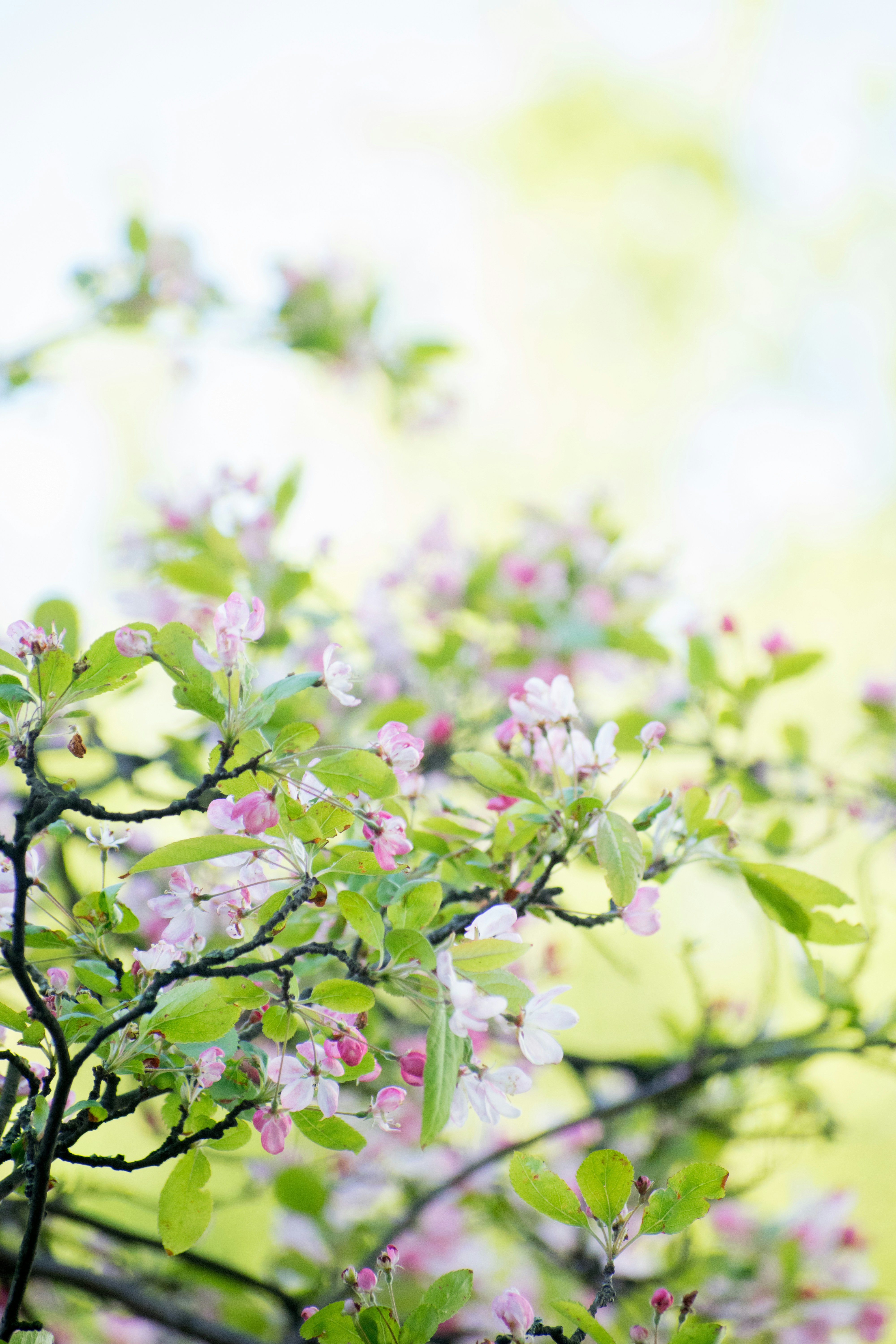 Photo by thezenoeffect