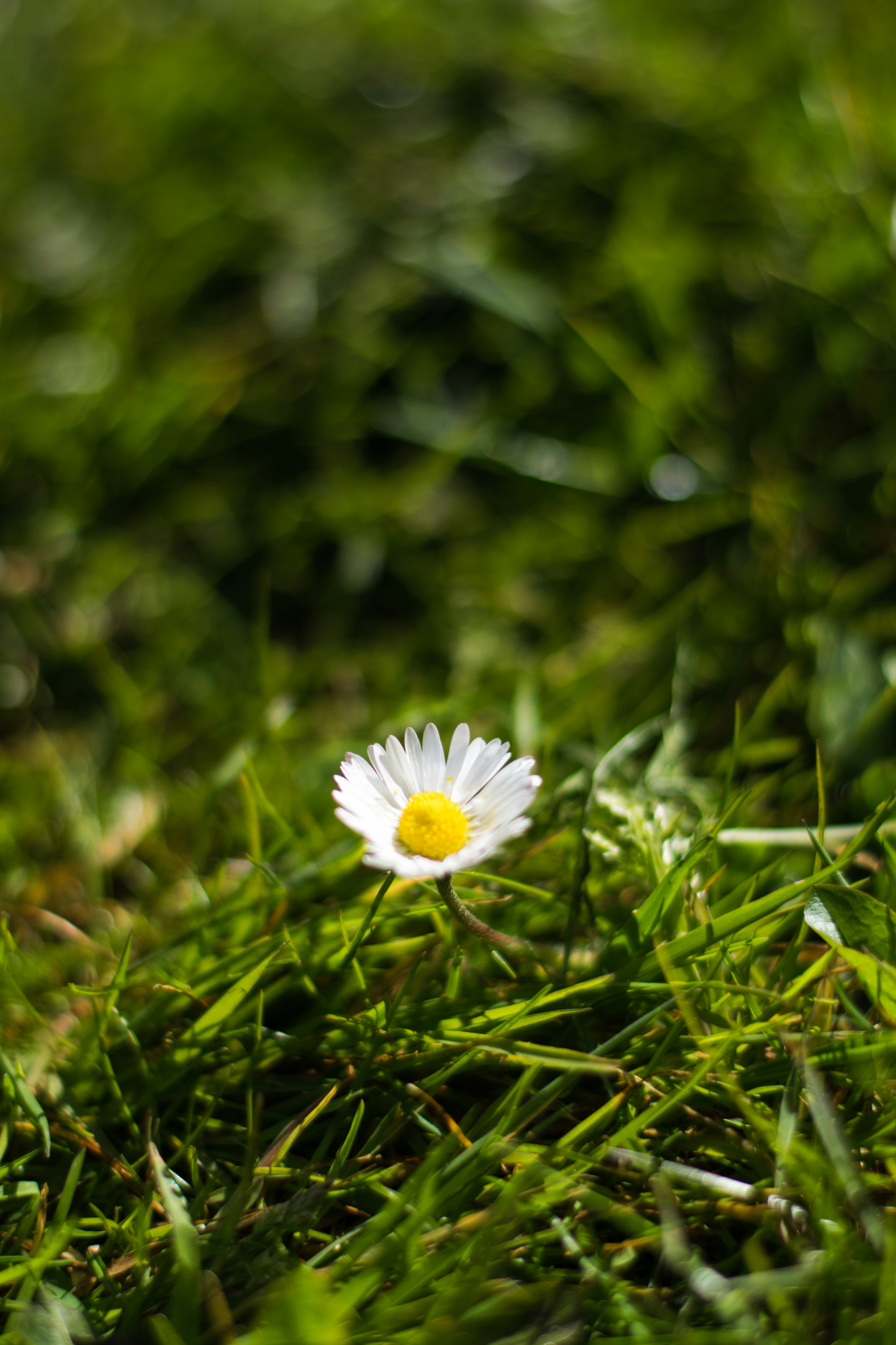 Photo by thezenoeffect