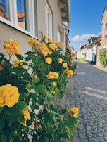 A quaint village street lined with colorful flowers and rustic stone houses under a bright blue sky.