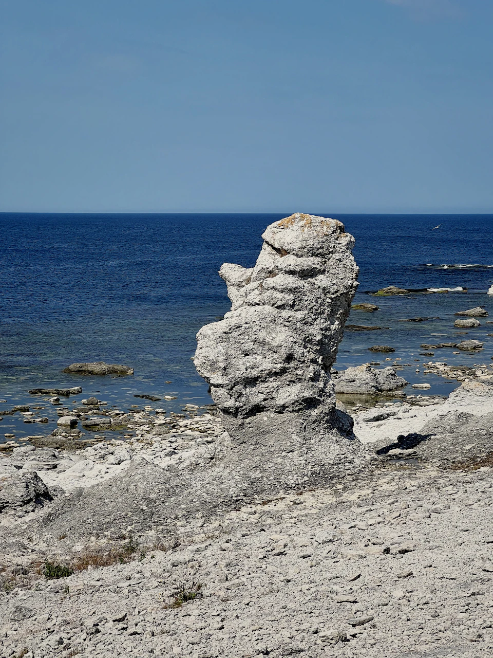 The image depicts a rocky outcropping jutting into the ocean, with the vast expanse of water stretching out to meet the clear blue sky at the horizon. The rocks are white and gray, contrasting against the deep blue of the sea. In the foreground, there is a small patch of grass that adds a touch of green to the otherwise monochromatic landscape.