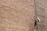 A textured brick wall with a mounted surveillance camera and a cable running vertically alongside it.