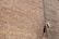 A textured brick wall with a mounted surveillance camera and a cable running vertically alongside it.