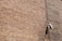A textured brick wall with a mounted surveillance camera and a cable running vertically alongside it.