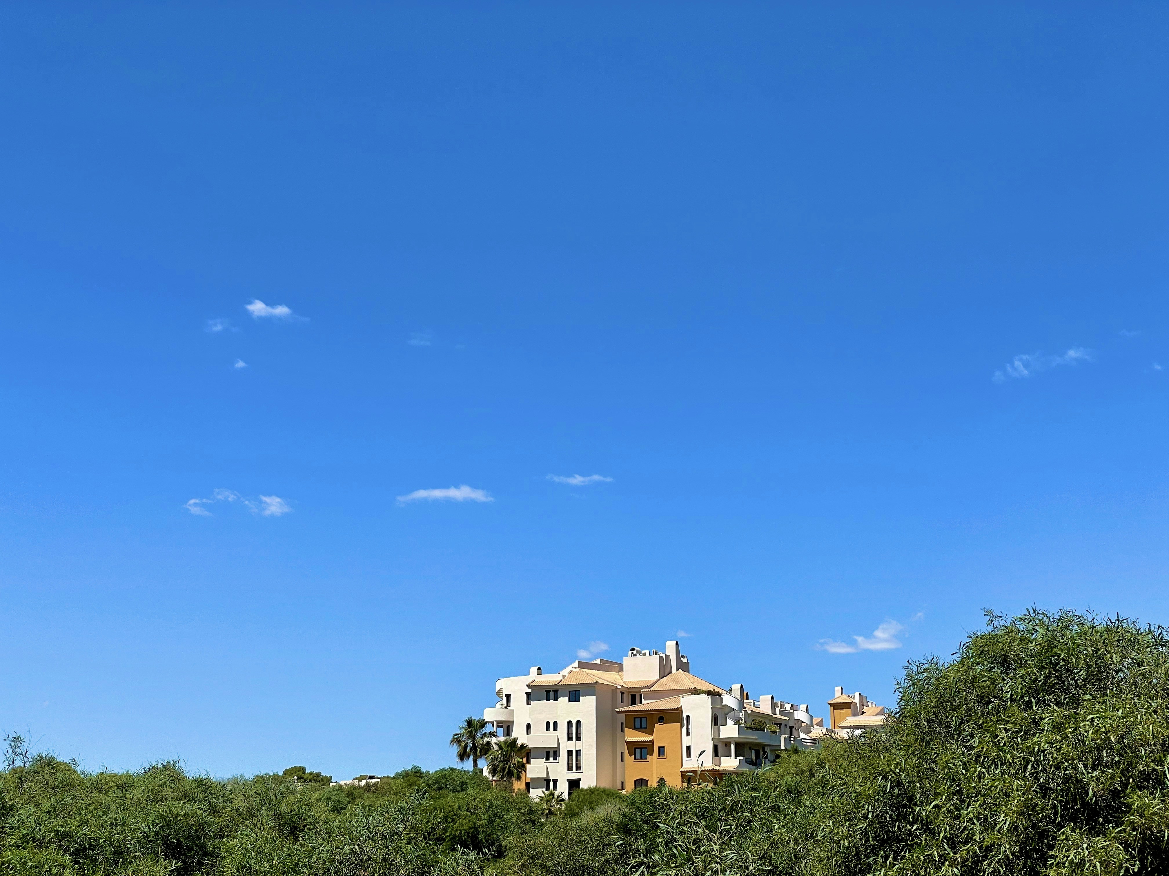 a building surrounded by trees