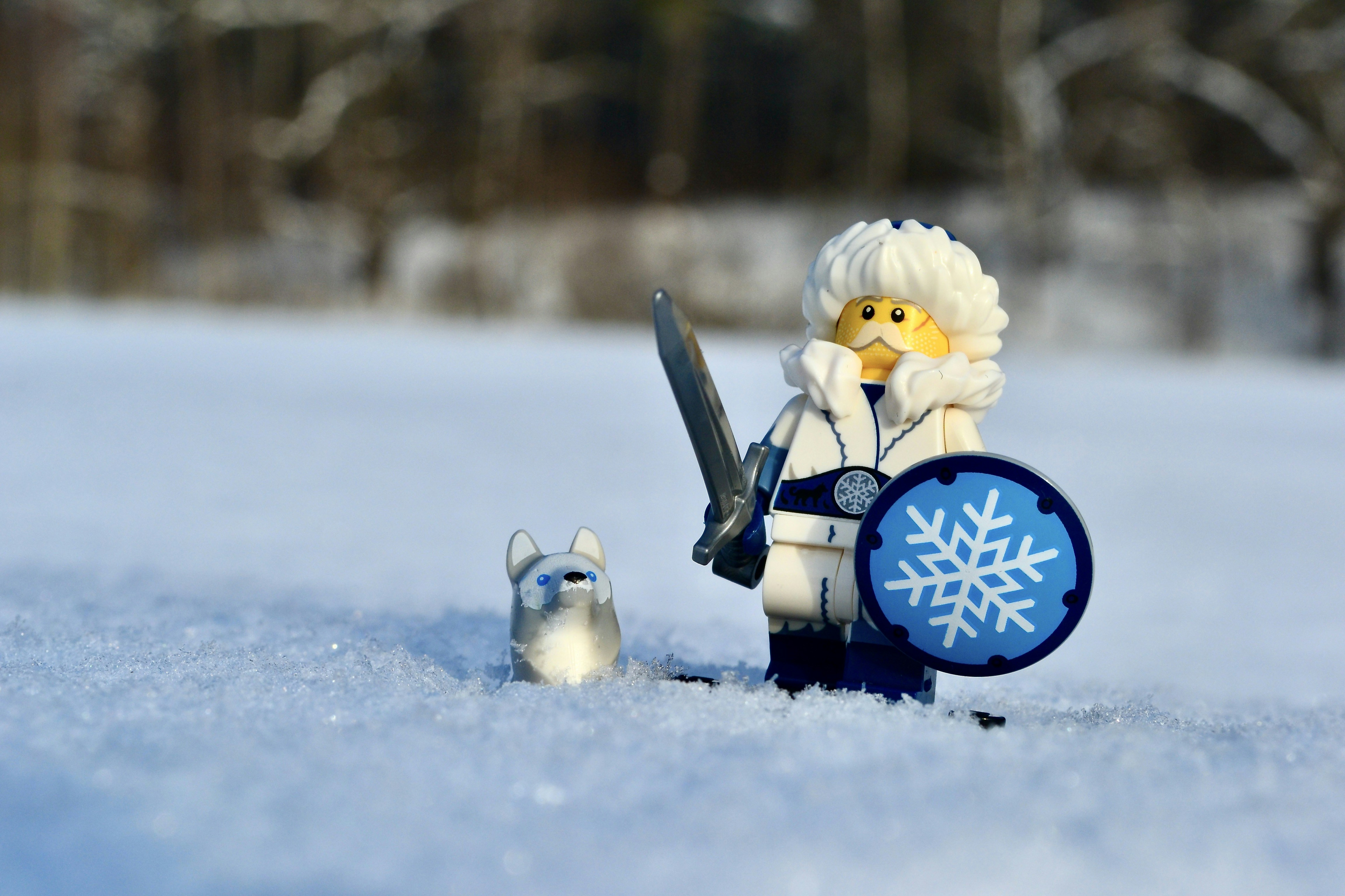 Snow Guard