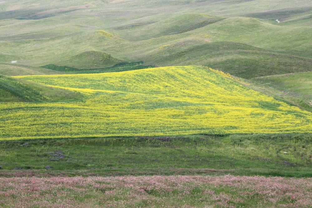 a green hilly landscape