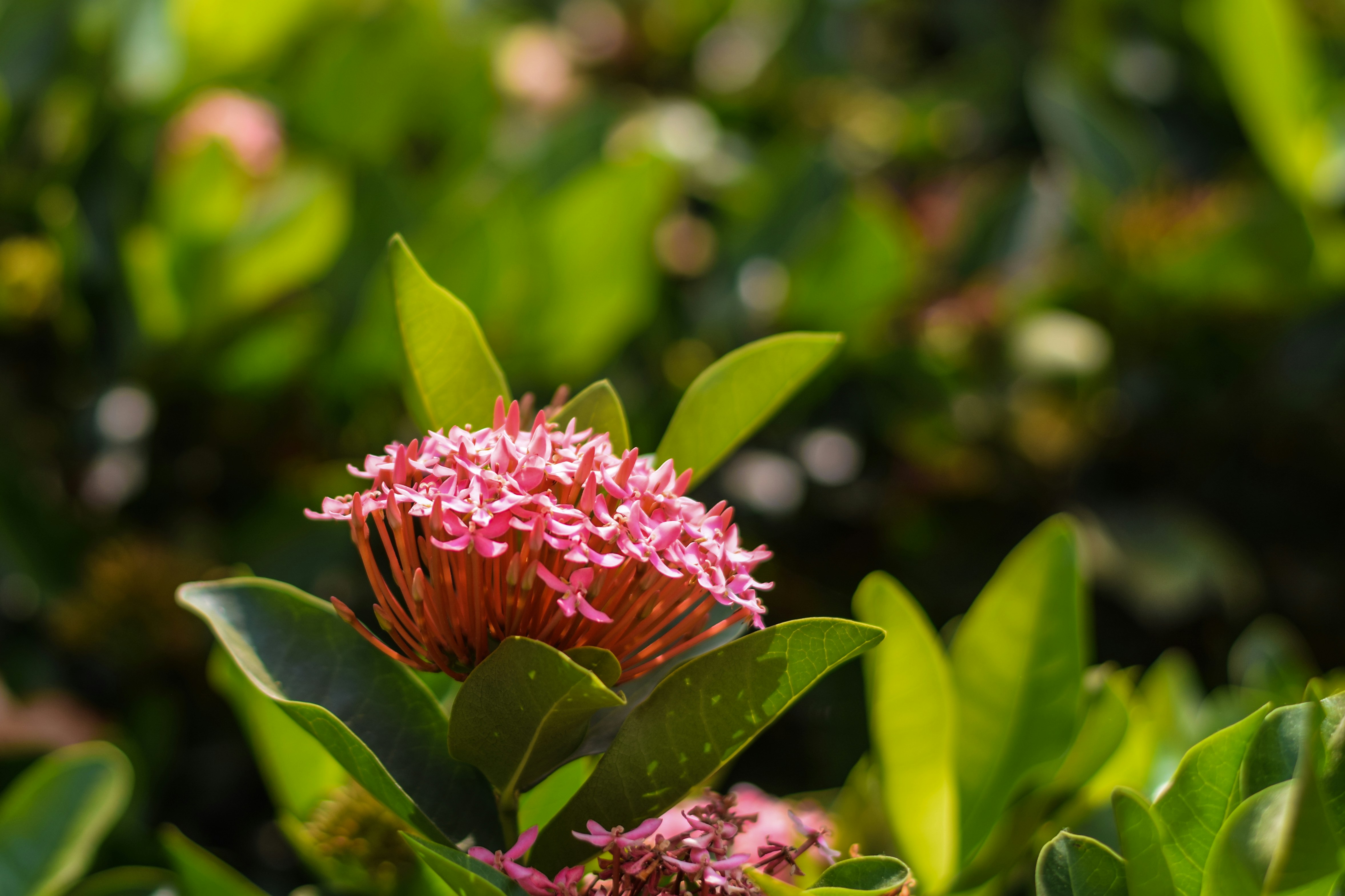 Photo by thezenoeffect