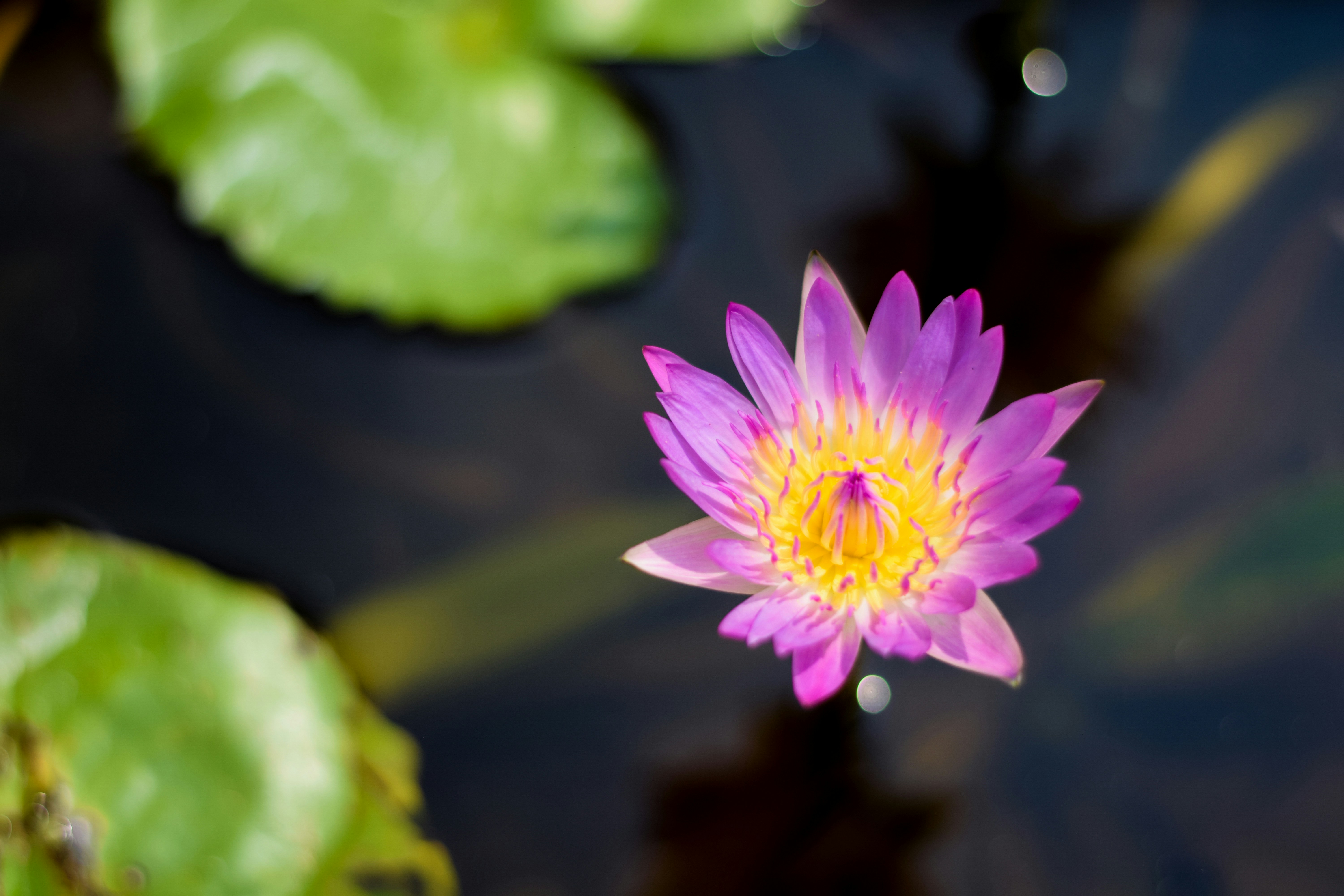 Photo by thezenoeffect