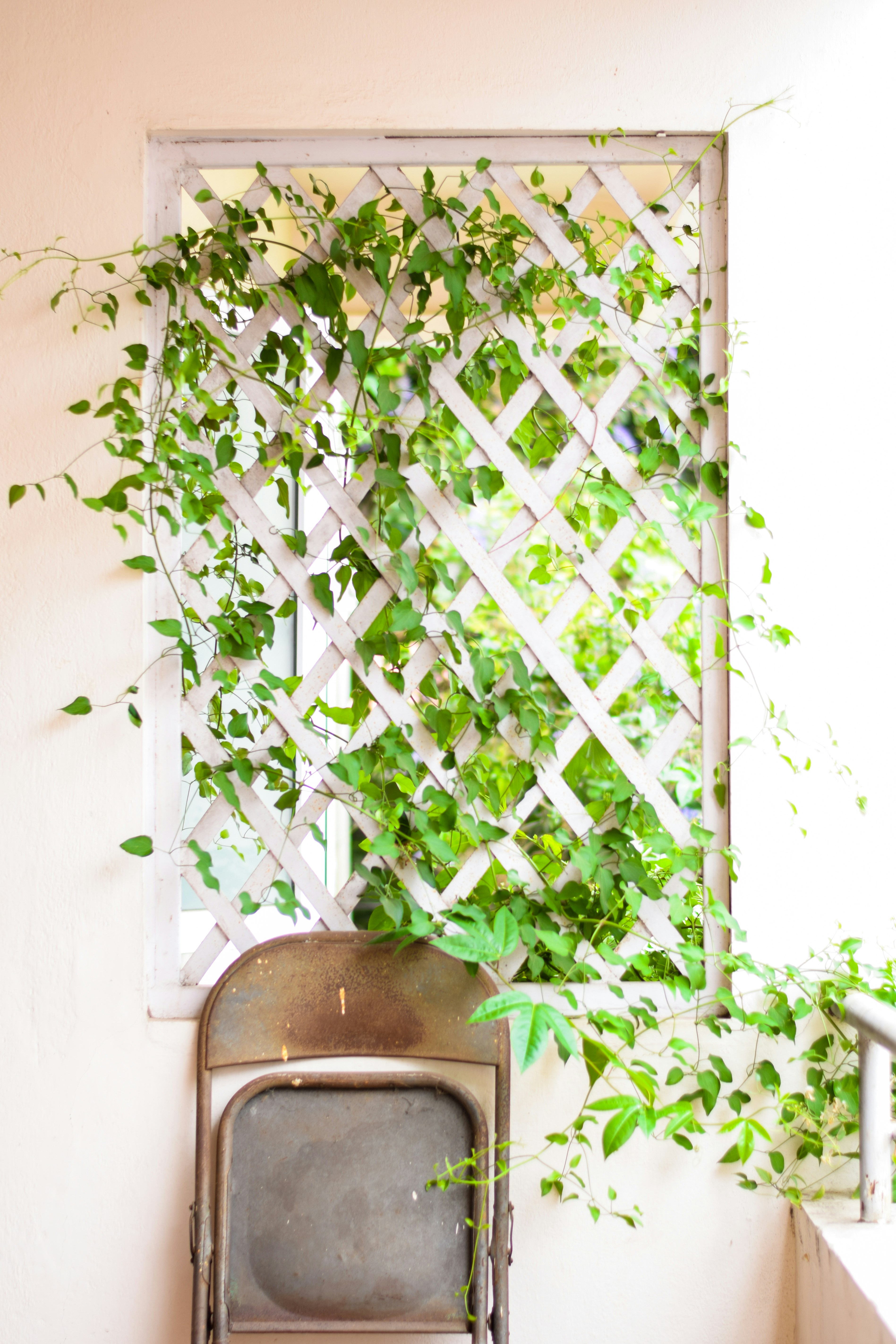 Photo by thezenoeffect