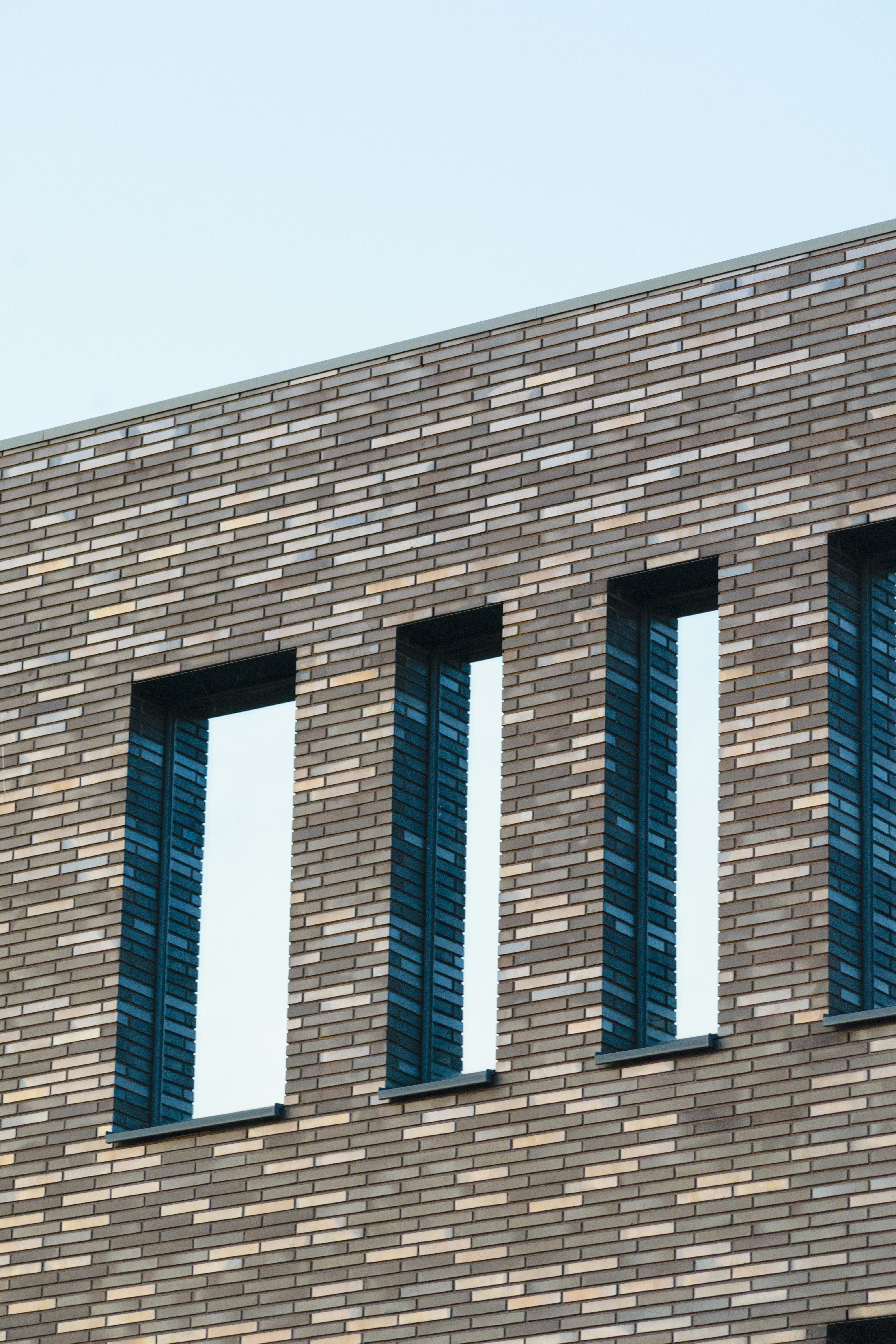 Photo by thezenoeffect