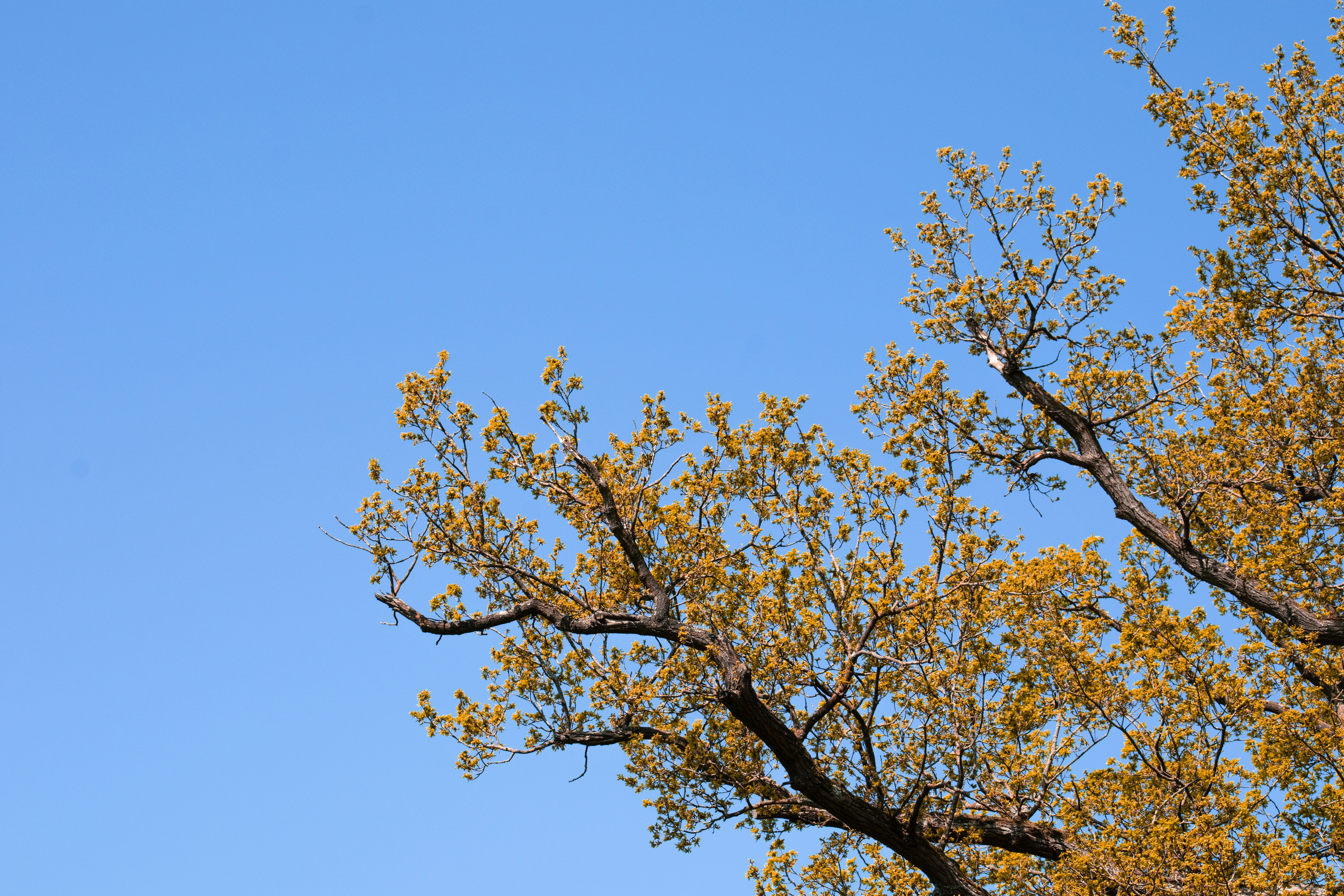 Photo by thezenoeffect