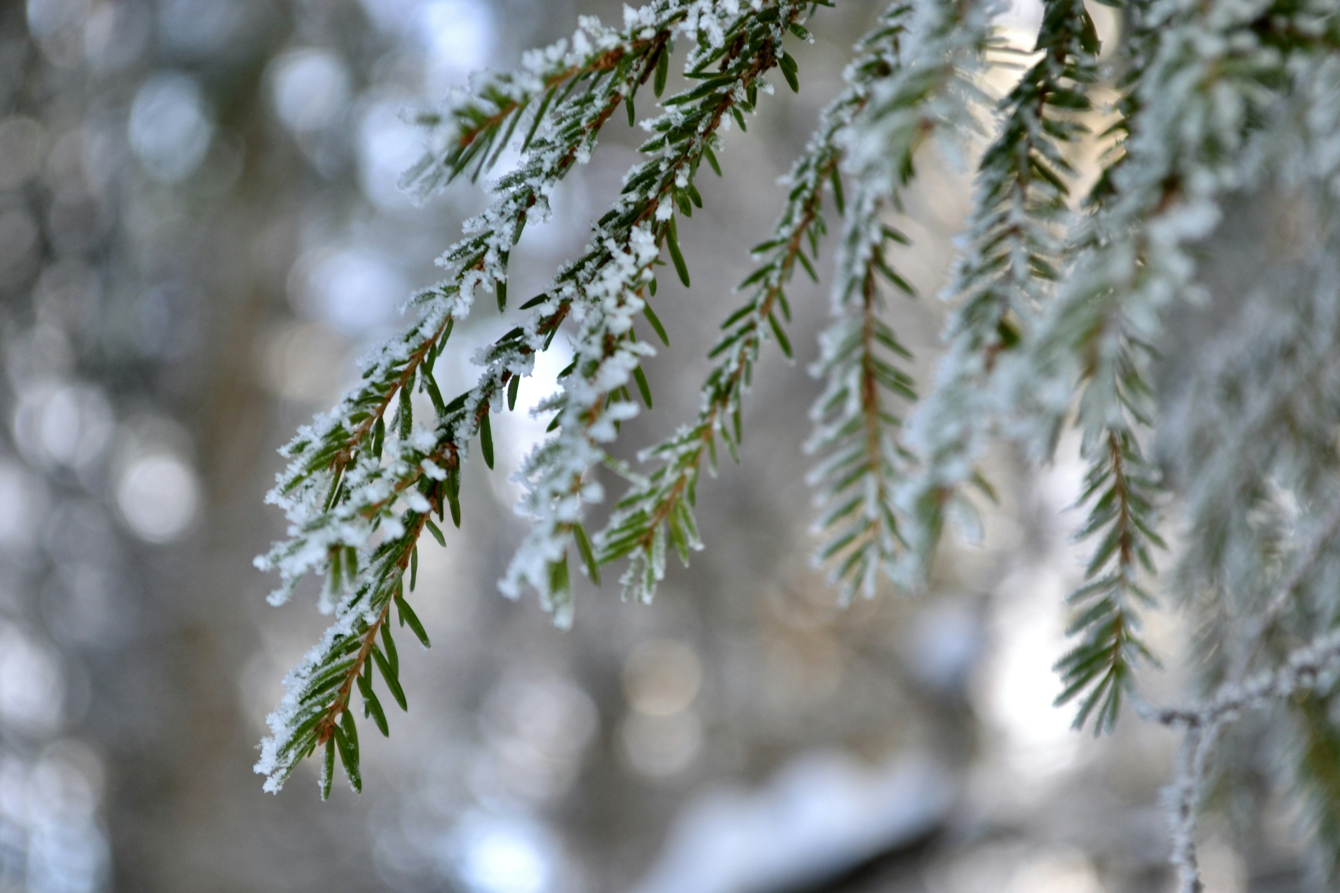 Photo by evgenslavin