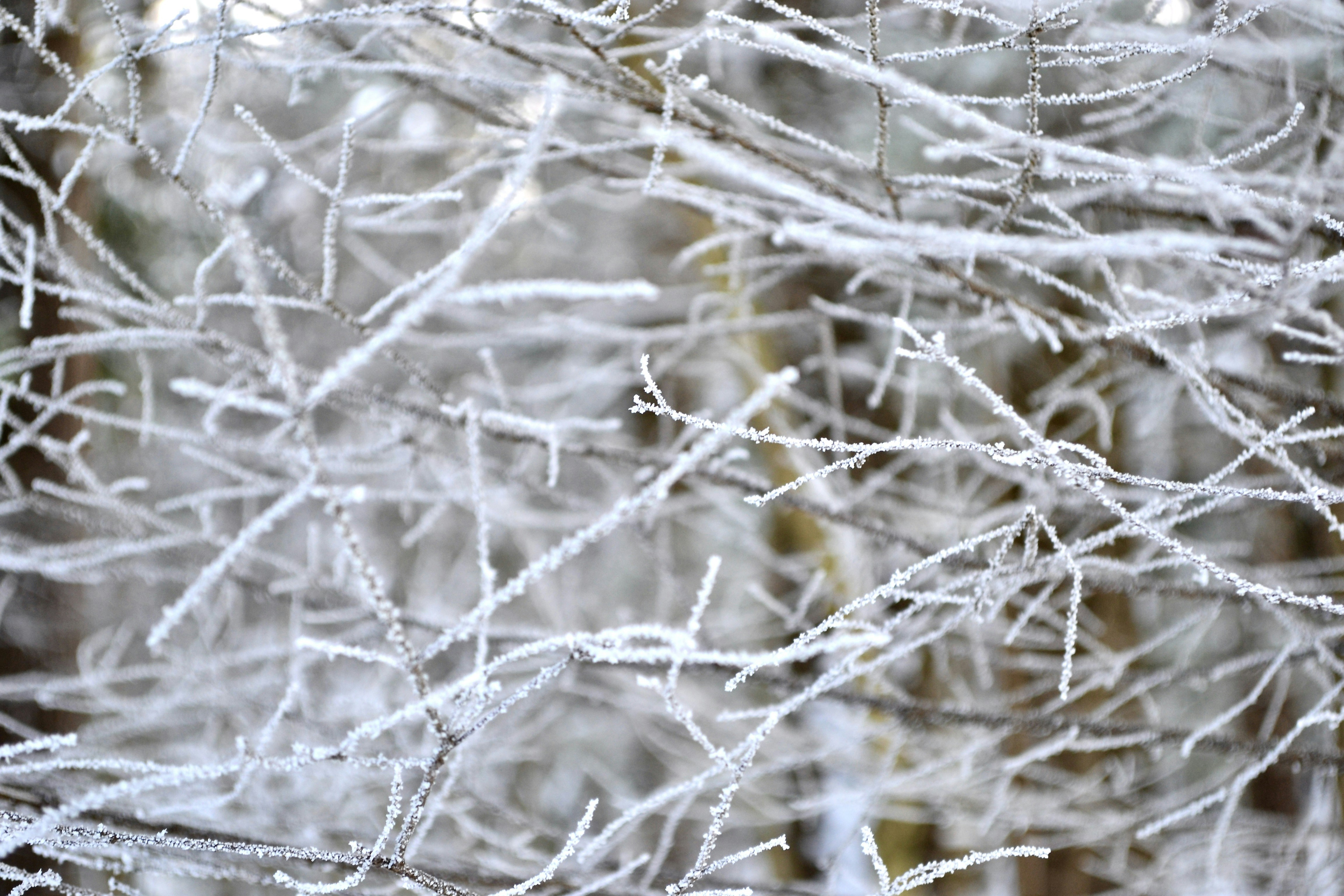 Photo by evgenslavin