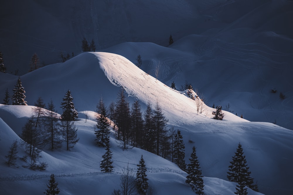 a snowy mountain with trees with Aspen Highlands in the background